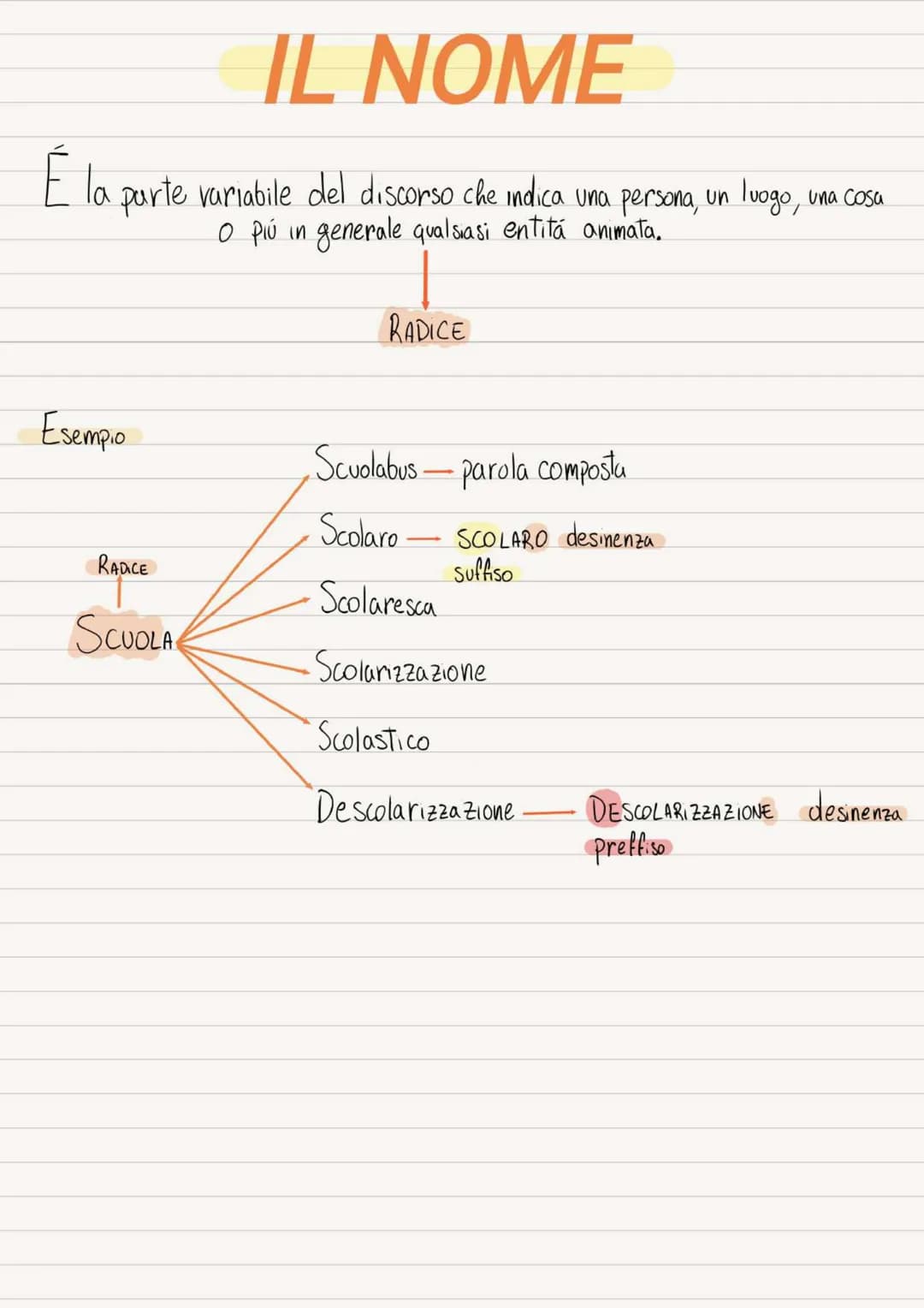 # IL NOME
É la parte variabile del discorso che indica una persona, un luogo, una cosa
o piú in generale qualsiasi entită animata.
RADICE