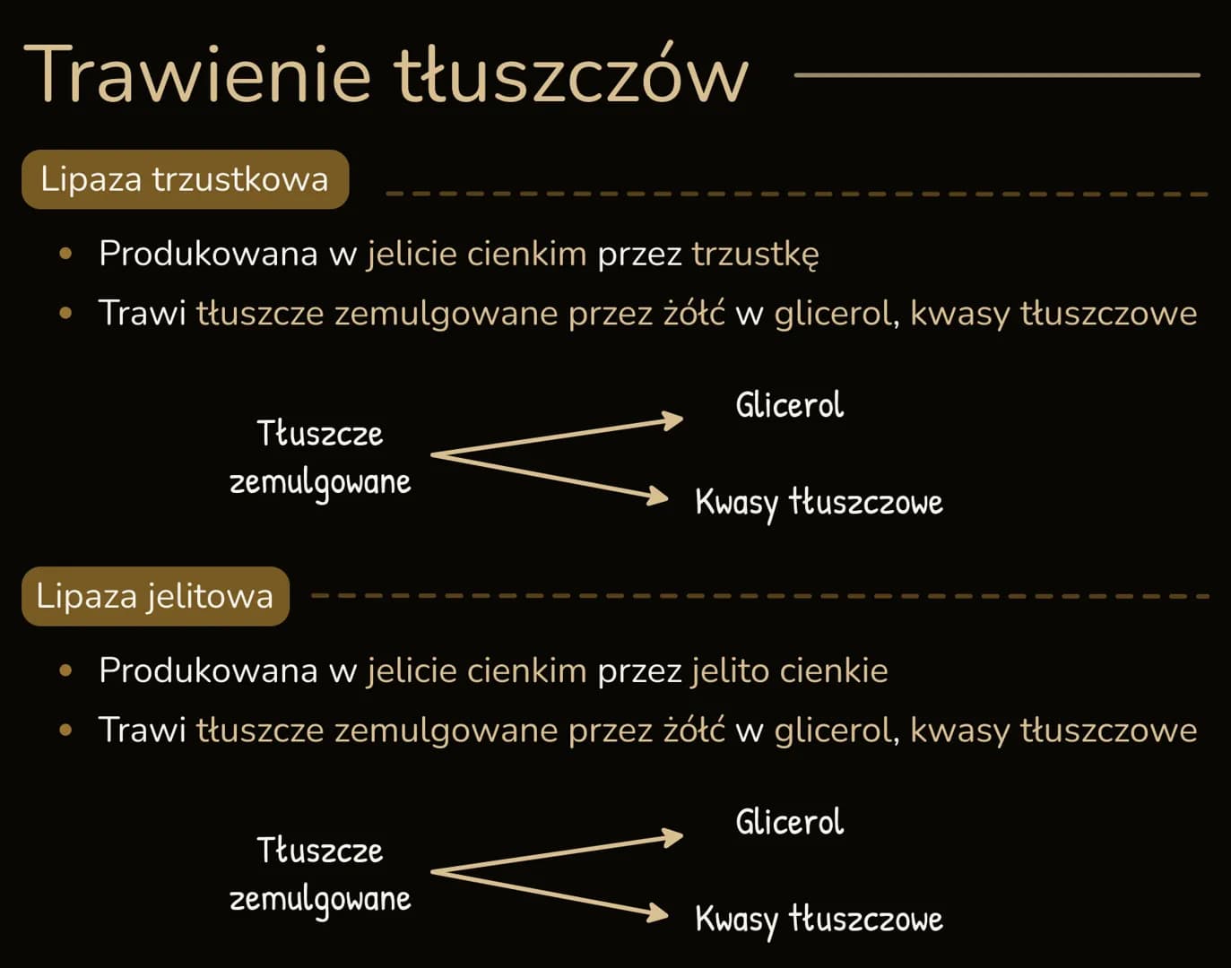 # PROCESY TRAWIENIA I WCHŁANIΑΝΙΑ
## Trawienie pokarmu
* Trawienie pokarmu - proces rozkładu złożonych związków organicznych
na pros