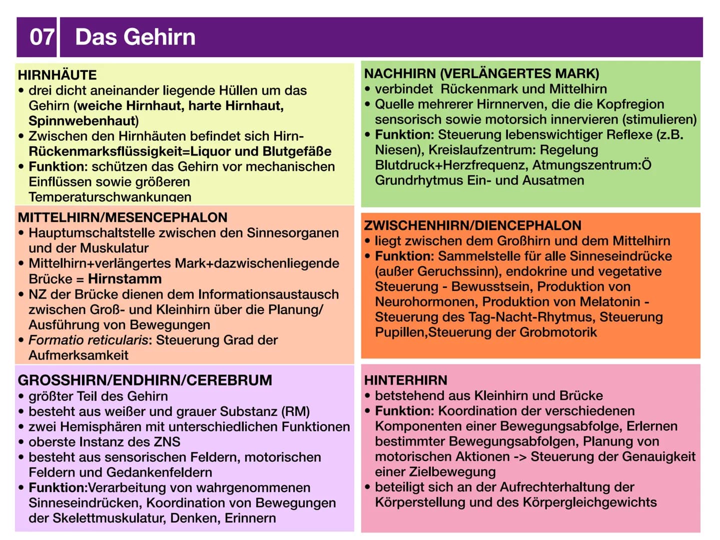 # Biologie J2 Basisfach
# Das Nervensystem
ARTEN - AUFBAU - FUNKTION # 01 Was ist das Nervensystem?
DEFINITION
Das Nervensystem ist der