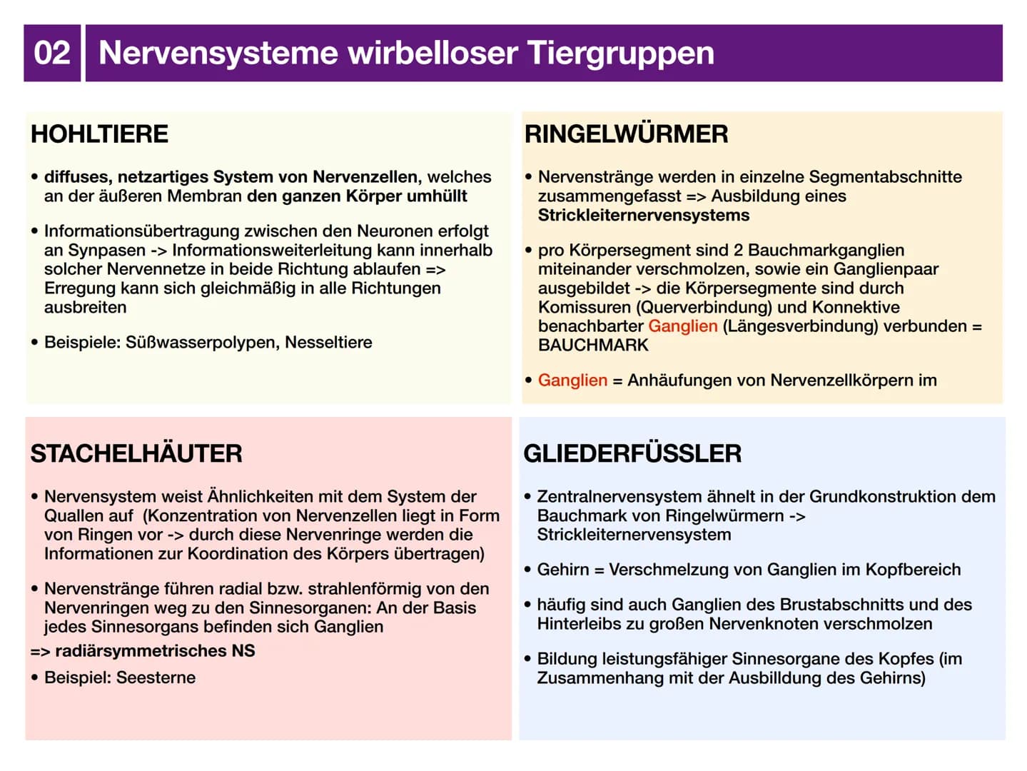 # Biologie J2 Basisfach
# Das Nervensystem
ARTEN - AUFBAU - FUNKTION # 01 Was ist das Nervensystem?
DEFINITION
Das Nervensystem ist der
