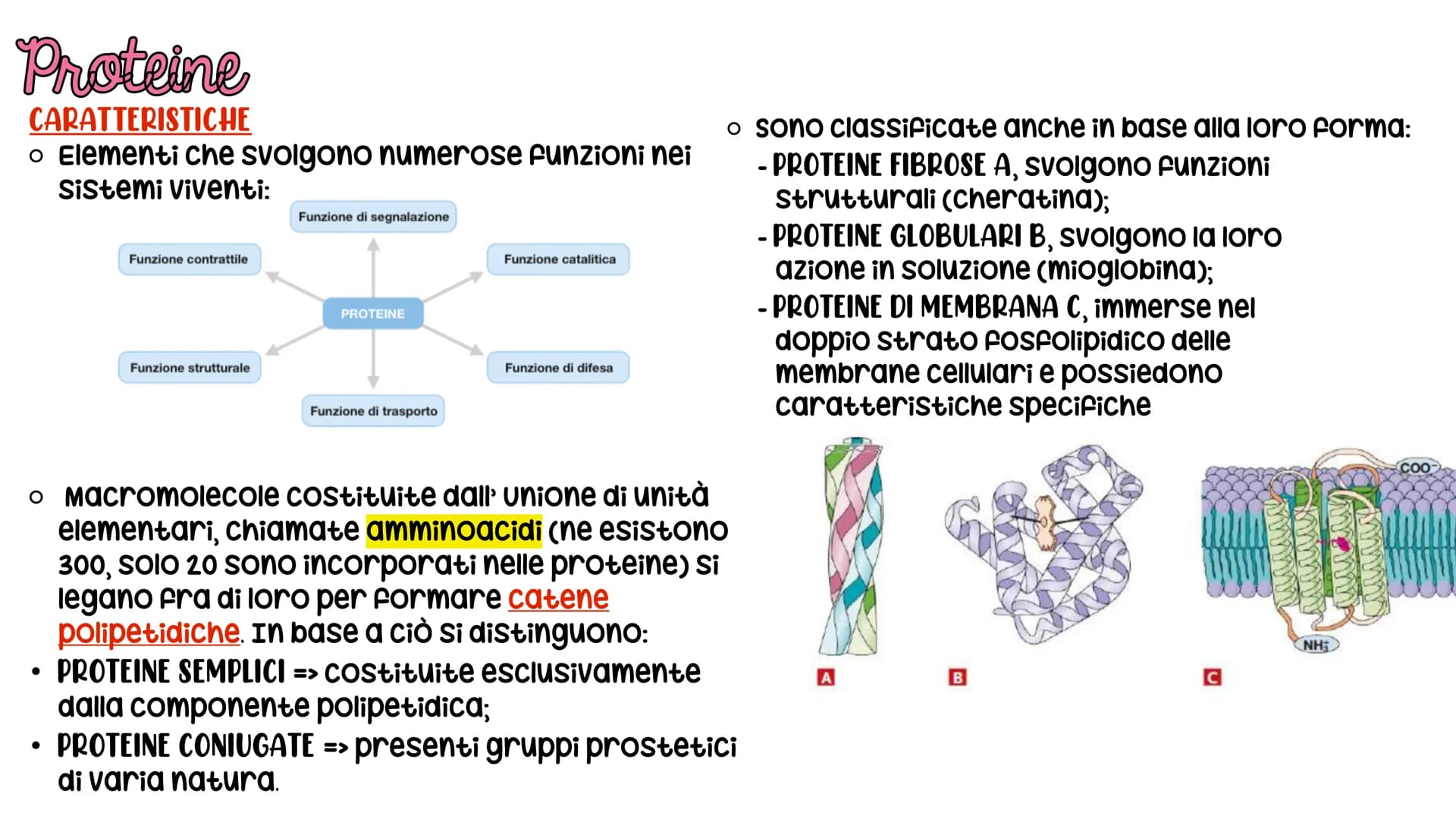 # LE BIOMOLECOLE
Carboidrati, Proteine, Lipidi e Acidi nucleici # LE BIOMOLECOLE
sono molecole che svolgono un ruolo nei sistemi
biologici