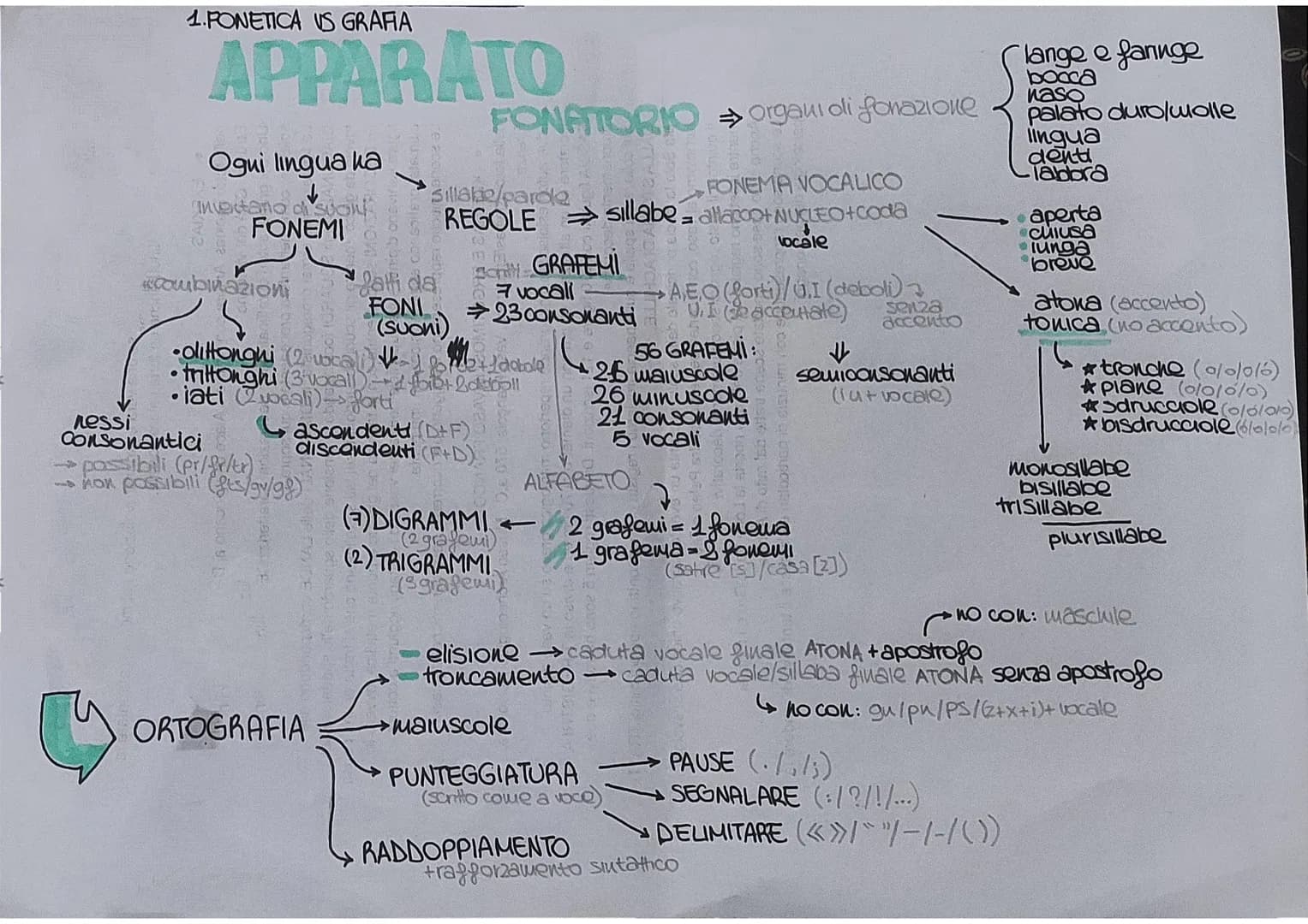 # 1.PONETICA US GRAFIA
# APPARATO
Ogui lingua ha
↓
Inventano di suoi
## FONEMI
# FONATORIO organı oli fonazione
Sillabe/parde
## FON