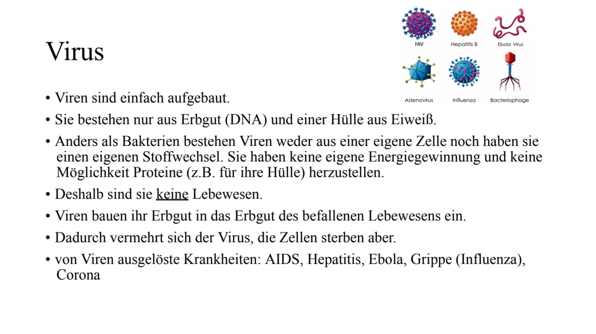 # Das Immunsystem # Das Immunsystem
ist das körpereigene, individuelle Abwehrsystem gegen schädlichen
Krankheitserreger
Der Begriff des 'I