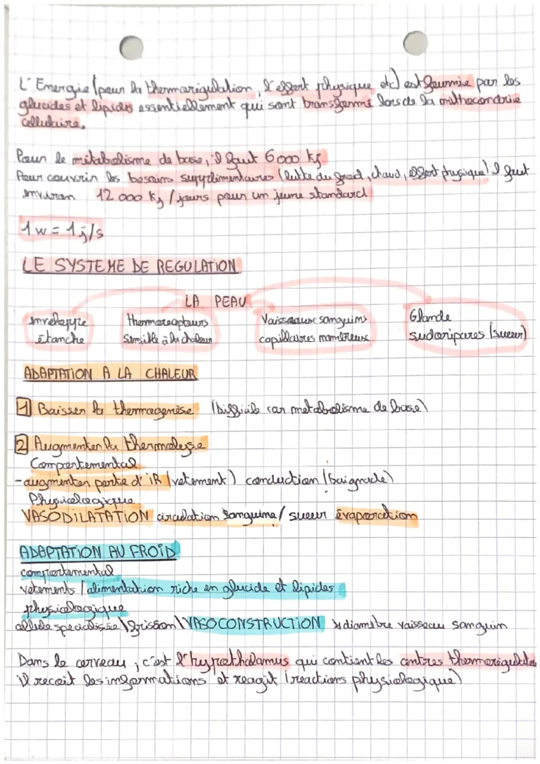 # BILAN THERMIQUE DU CORPS HUMAIN
## OÙ LE CORPS PERD DE LA CHALEUR?
- Secteur sans vetement
- secteur vorigué par le systime sanguin Core