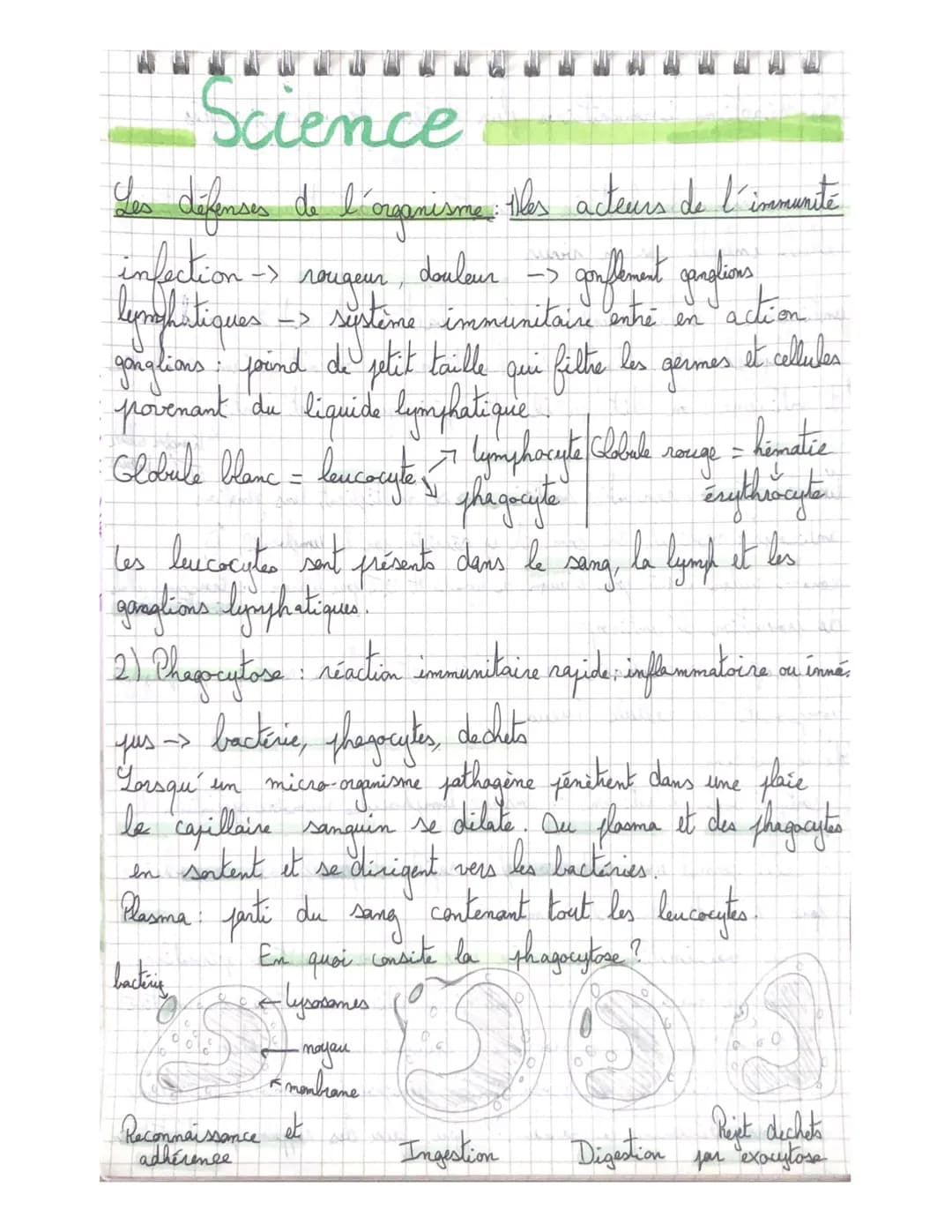 1- Le risque infectieux
1. Contamination des microorganismes;
La transmission des microorganismes s'effectue directement
d'un individu à l'