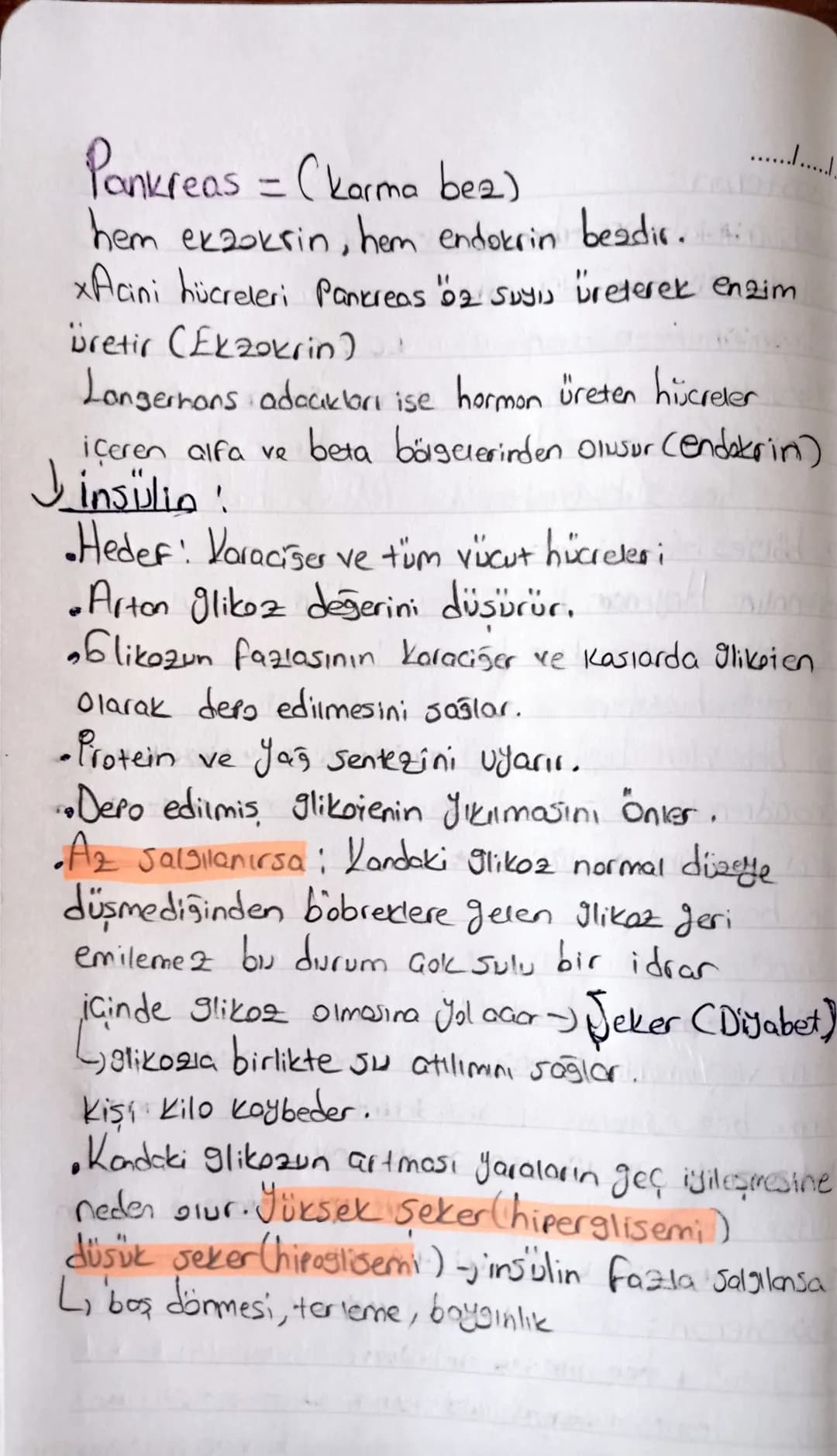 "ENDOKRIN SISTEM "
Herman!
•Organik maddelerdir. Sadece hedef organda etkilerini
•Hedef organlara kan yoluyla taşınırlar. gösterirler
•Çal