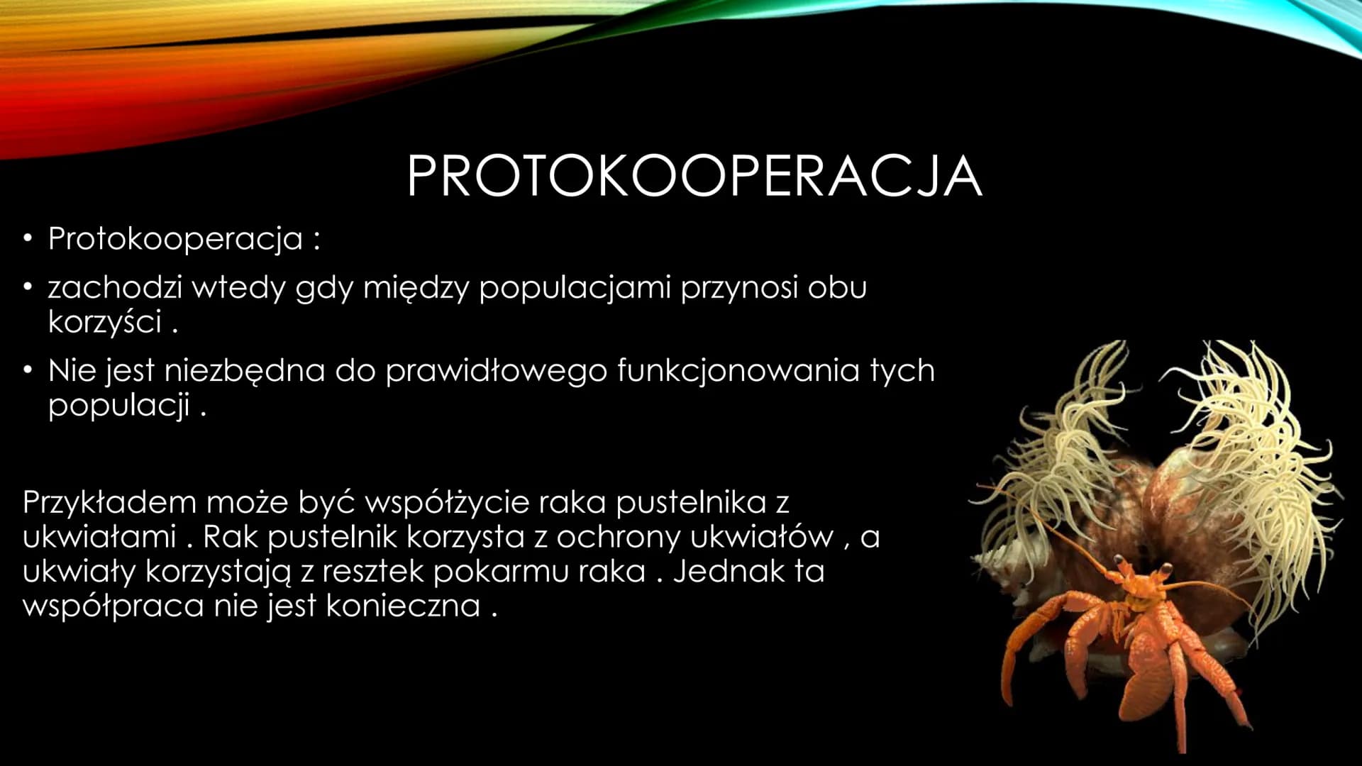 # NIEANTAGONISTYCZNE
# ZALEŻNOŚCI MIĘDZY GATUNKAMI Zależności dodatnie, zwane również nieantagonistycznymi – są to
zależności, które :
*