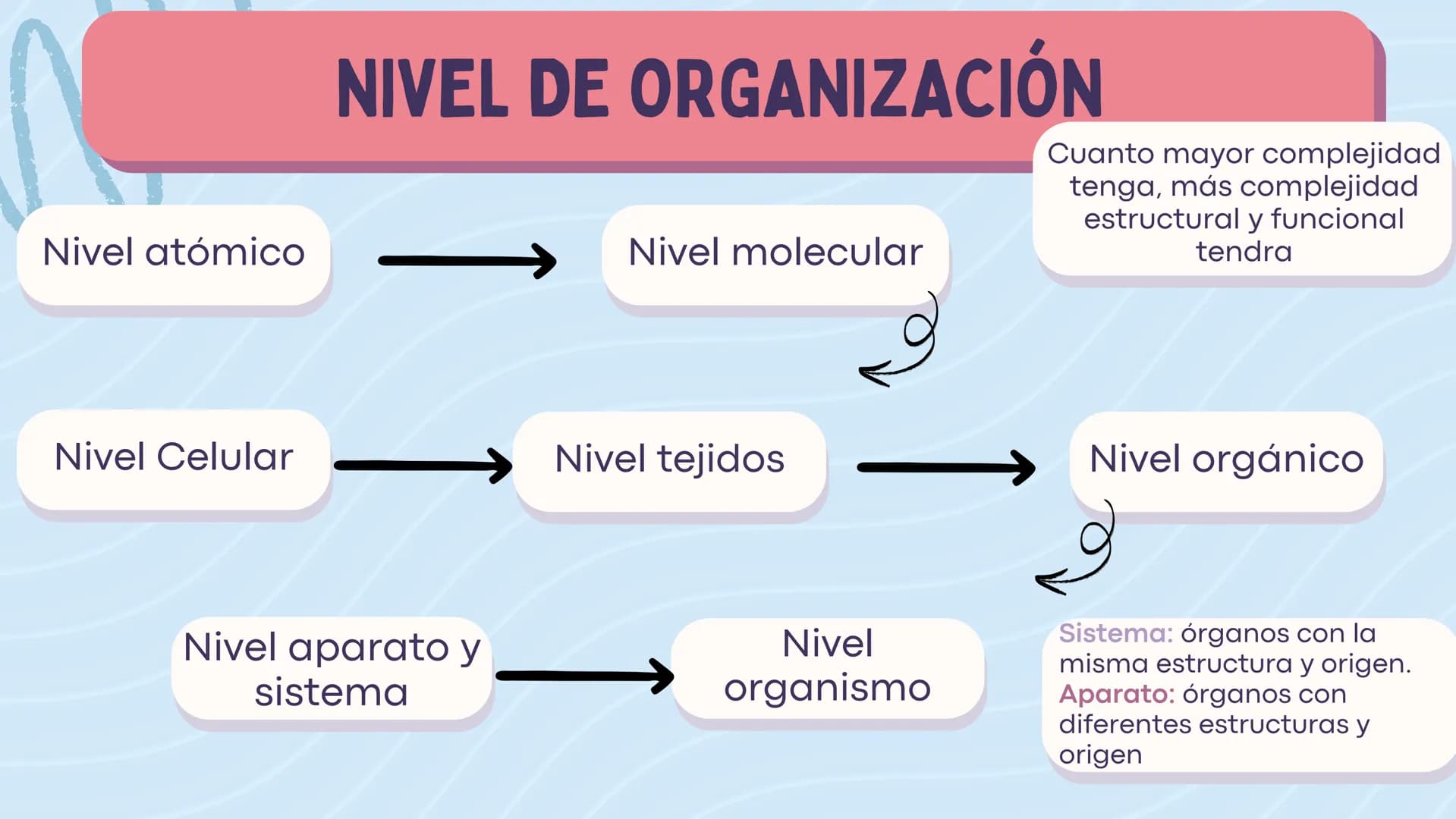 # LA CÉLULA
ANATOMÍA Nivel atómico
NIVEL DE ORGANIZACIÓN
Nivel molecular
Cuanto mayor complejidad
tenga, más complejidad
estructural y f