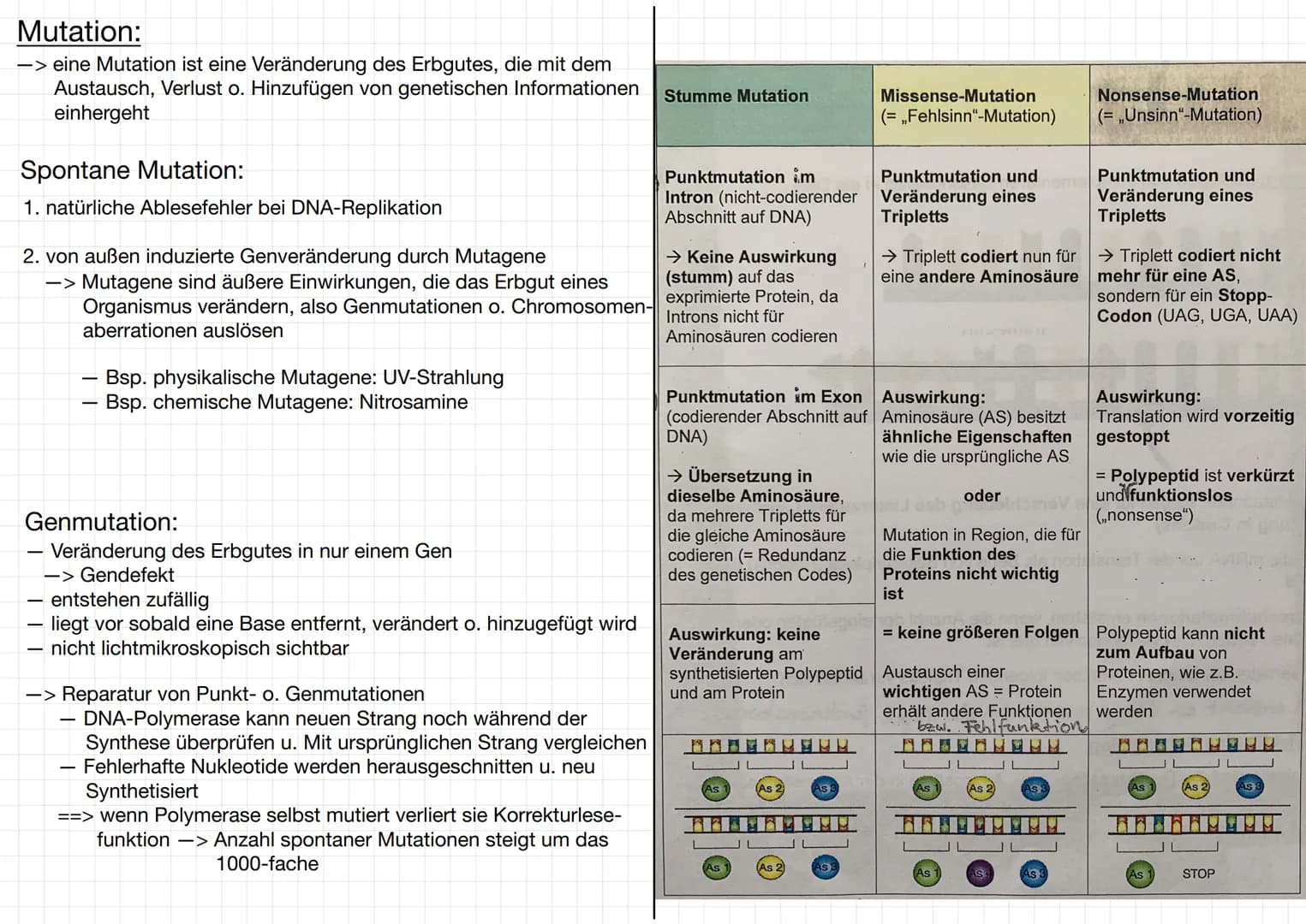 # GENETIK
Wofür brauchen wir Genetik:
-> Genetisch veränderte Lebensmittel
-> Vaterschaftstest (DNA – Analyse)
-> Kriminalistik = genetisch