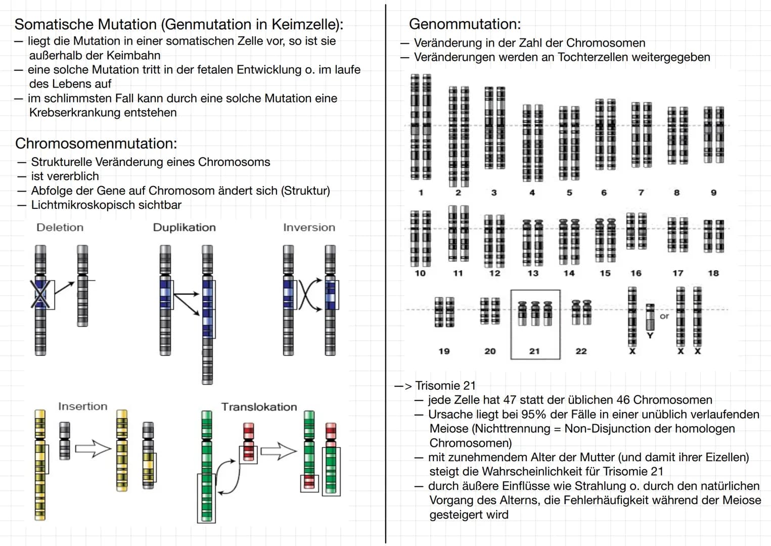 # GENETIK
Wofür brauchen wir Genetik:
-> Genetisch veränderte Lebensmittel
-> Vaterschaftstest (DNA – Analyse)
-> Kriminalistik = genetisch