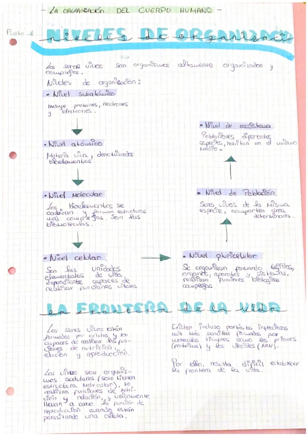 - LA ORGANIZACIÓN
Punto 1
DEL CUERPO HUMANO
NIVELES de organizaci
Los seres vivos Son organities altamente organizados y
coupleftos.
Ni