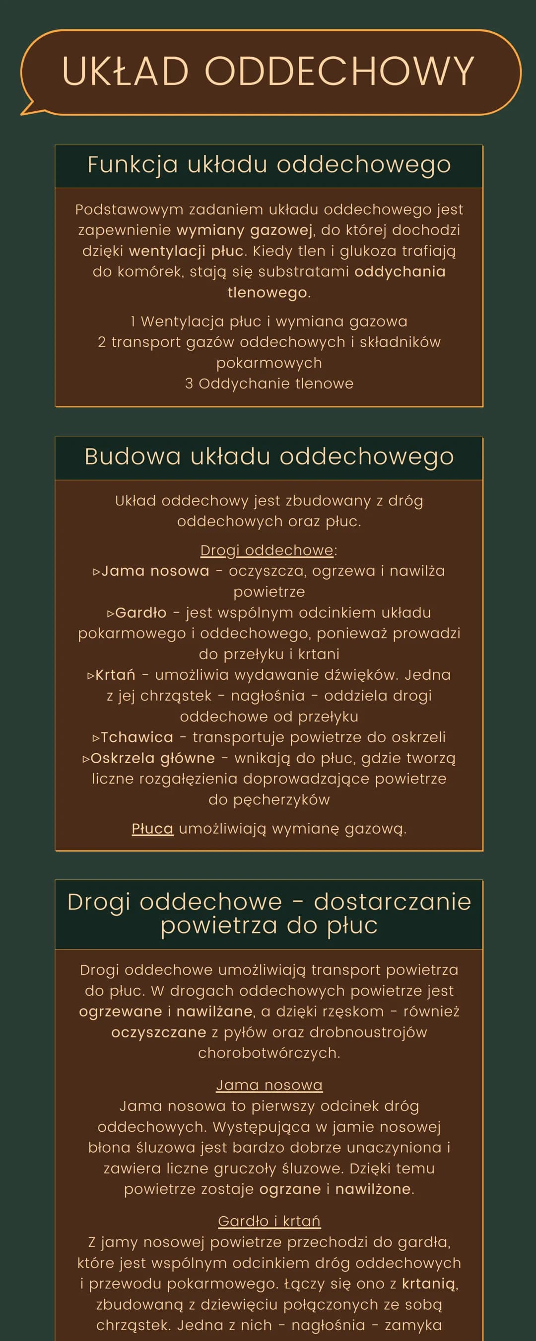 <h2>Funkcje układu oddechowego</h2>
<p>Podstawowym zadaniem układu oddechowego jest zapewnienie wymiany gazowej, do której dochodzi dzięki