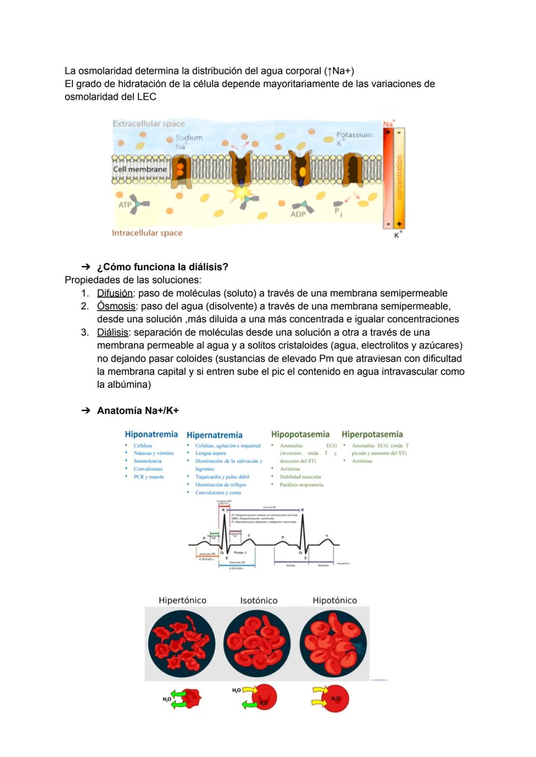 # TEMA 1: INTRODUCCIÓN A LA BIOQUÍMICA
→ Interés de la bioquímica
Estudio de la base molecular de la vida, la estructura y función de las