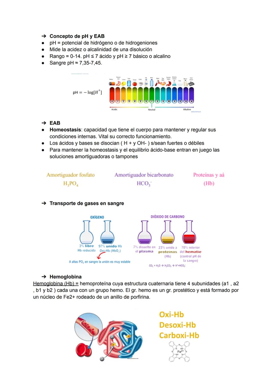 # TEMA 1: INTRODUCCIÓN A LA BIOQUÍMICA
→ Interés de la bioquímica
Estudio de la base molecular de la vida, la estructura y función de las