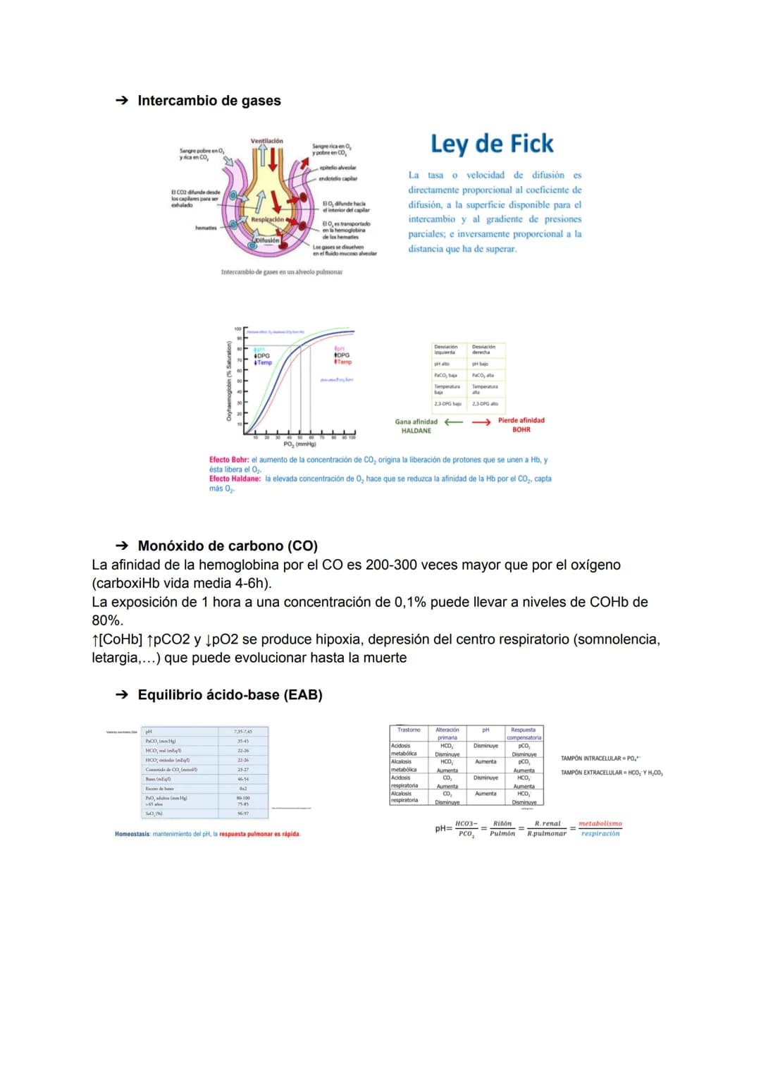 # TEMA 1: INTRODUCCIÓN A LA BIOQUÍMICA
→ Interés de la bioquímica
Estudio de la base molecular de la vida, la estructura y función de las
