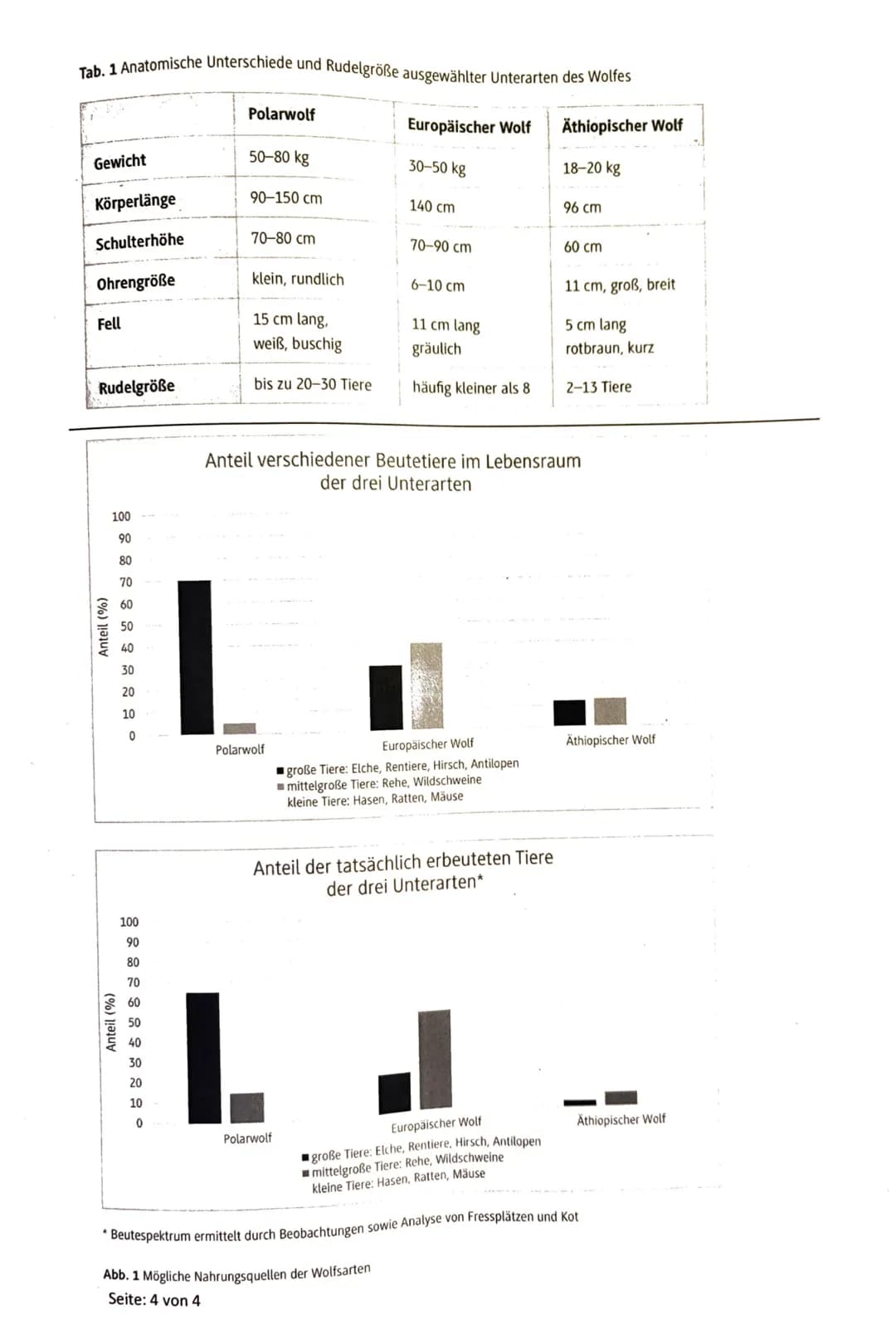 # 3. Klausur der Q1-Biologie-Grundkurse 1-3 (BUTE/KRAE)
21.03.2023
Aufgabe 1: Ökologie - Überwinterungsstrategien
Name: Nils Rosa berger
Au