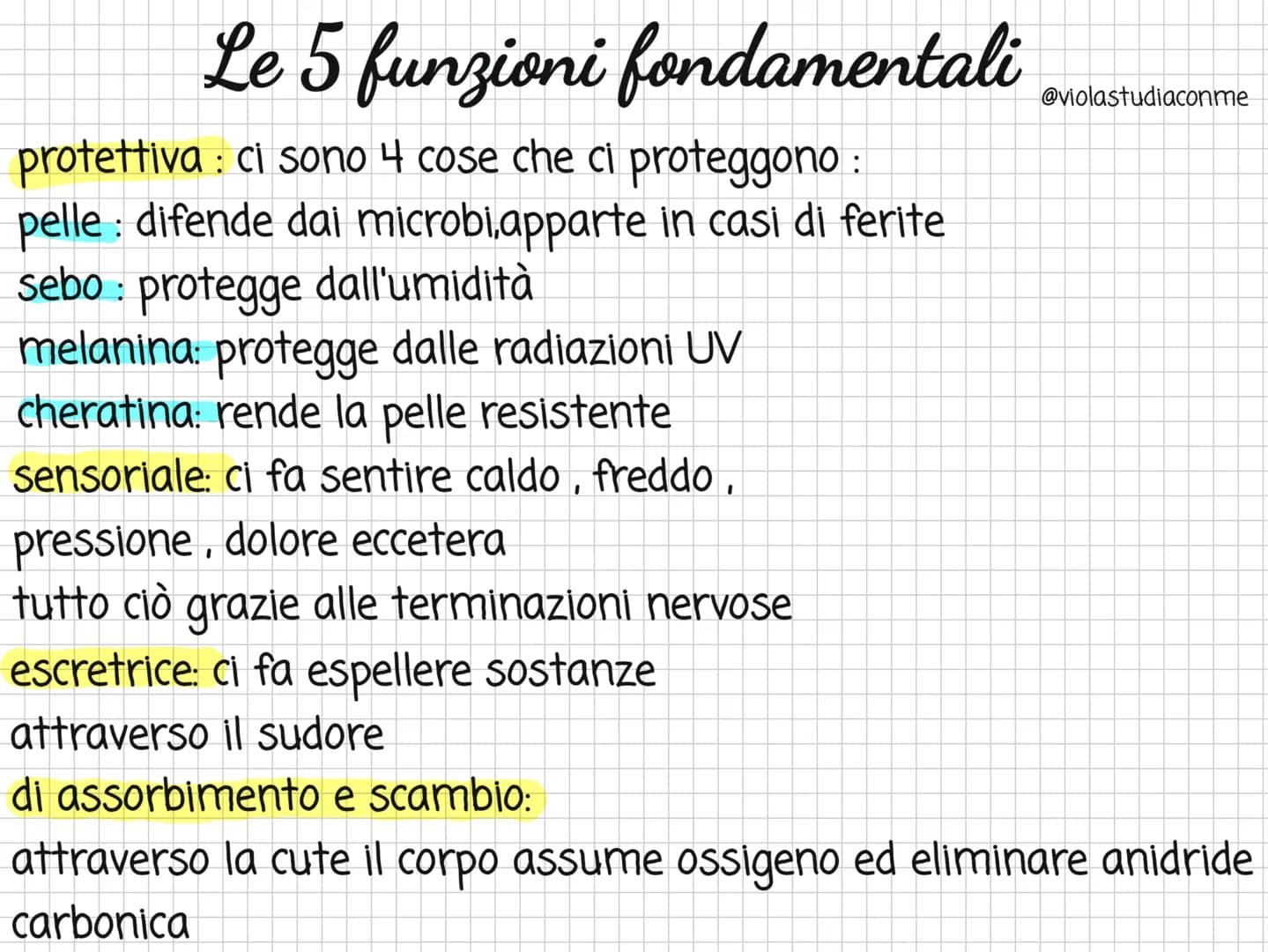 <h2>Che cos'è l'apparato tegumentario?</h2>
<p>L'apparato tegumentario è costituito dalla pelle, i capelli, le unghie e le ghiandole della