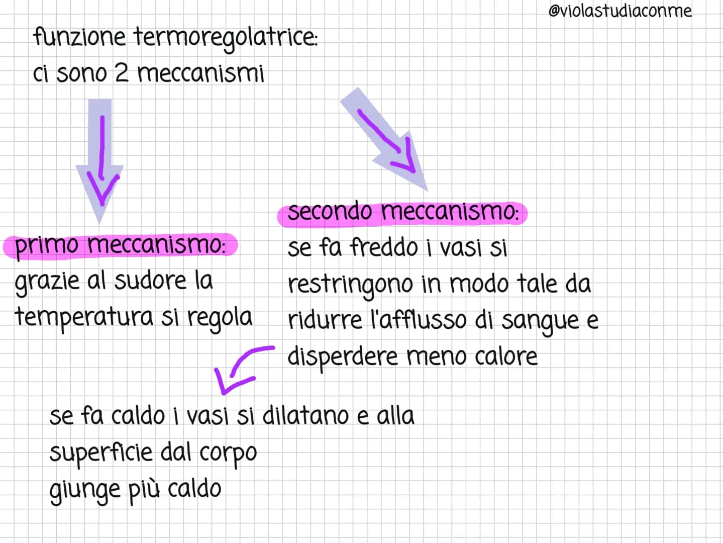 <h2>Che cos'è l'apparato tegumentario?</h2>
<p>L'apparato tegumentario è costituito dalla pelle, i capelli, le unghie e le ghiandole della