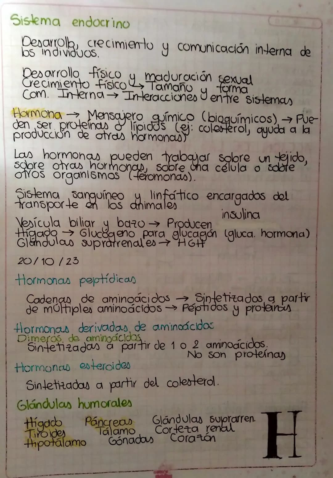HORMONAS
En los animales:
① Las células endocrinas liberan la hormona.
② La hormona entra en la sangre y es transportada
a todo el cuerpo