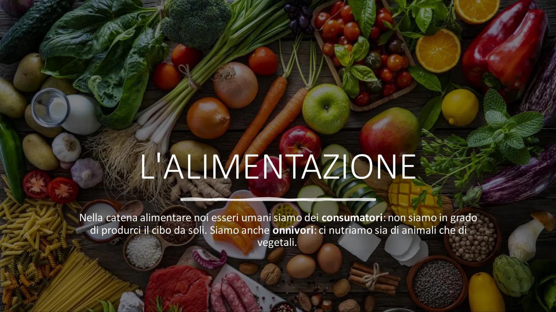 # L'ALIMENTAZIONE
Nella catena alimentare noi esseri umani siamo dei consumatori: non siamo in grado
di produrci il cibo da soli. Siamo anc