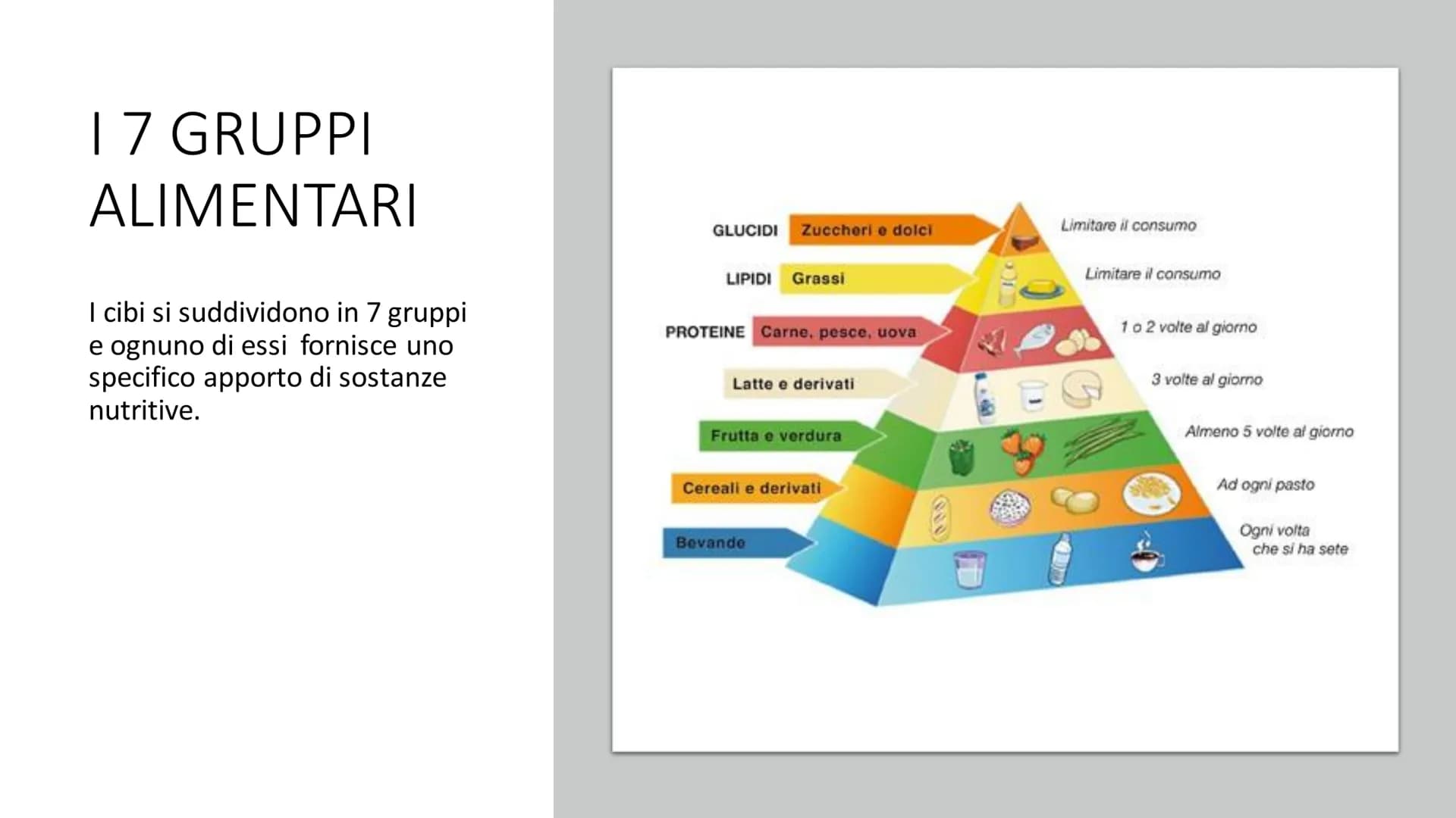 # L'ALIMENTAZIONE
Nella catena alimentare noi esseri umani siamo dei consumatori: non siamo in grado
di produrci il cibo da soli. Siamo anc