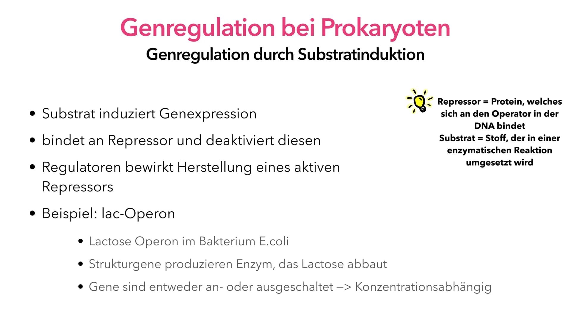 Phosphat (P)
Adenin (A)
Thymin(T)
Cytosin (C)
Guanin (G)
P
P
Genregulation
Z
Z
A
T
P
P
Pia Lindau & Mali Nilles; Biologie GK, Herr Fö