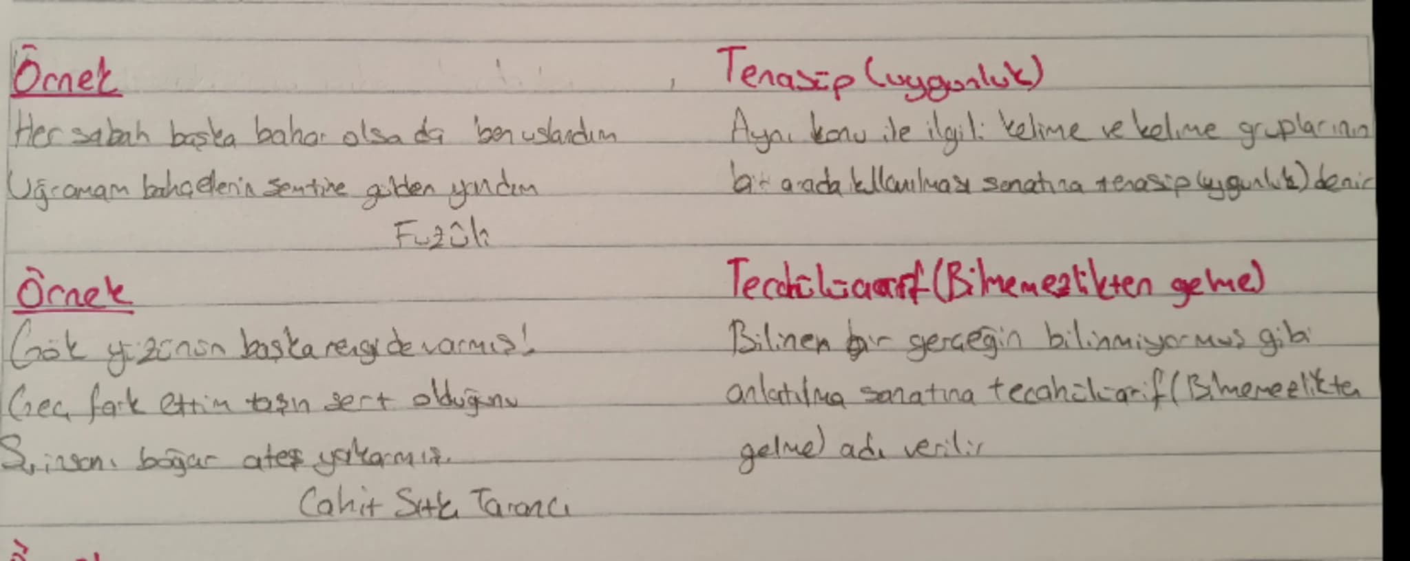 Örnek
Ah bu türkder, türklerimiz
Ana süte gibi condan
Anasategibi temiz
Türkster ister dag dağ, yayla yayla
Kayamez böylümüz memleketimiz.
B