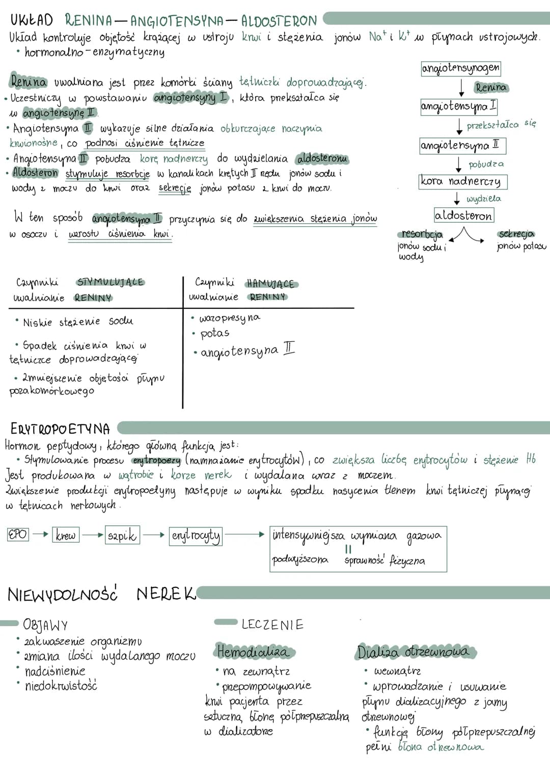# UKŁAD WYDALNICZY
BUDOWA
NERKI
BUDOWA
* nefrony
tkanka śródmiąższowa
tkanka łączna luźna
lewa nerka jest
wyżej niż prawa
• naczynia