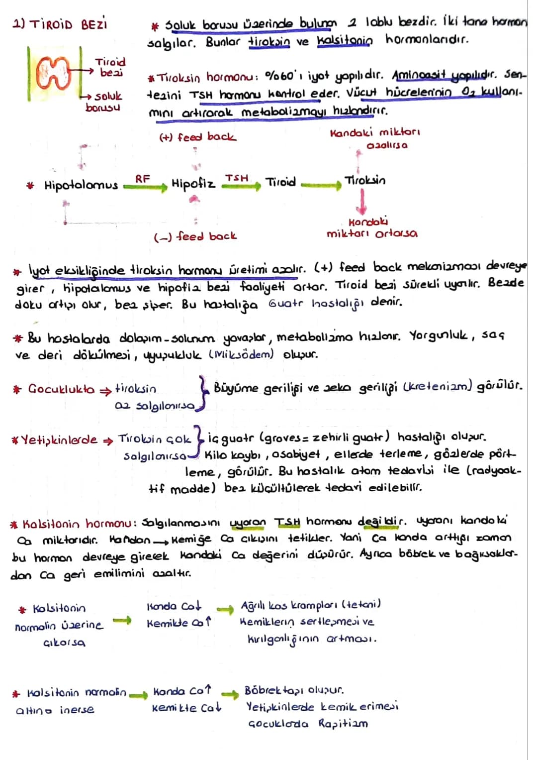 # Hipofizin ön lob hormonları
1) Büyüme hormonu = GH = STH = Somatotropik hormon: Büyümeyi sağlayan harman
dır. Özellikle kaslar ve kemikle