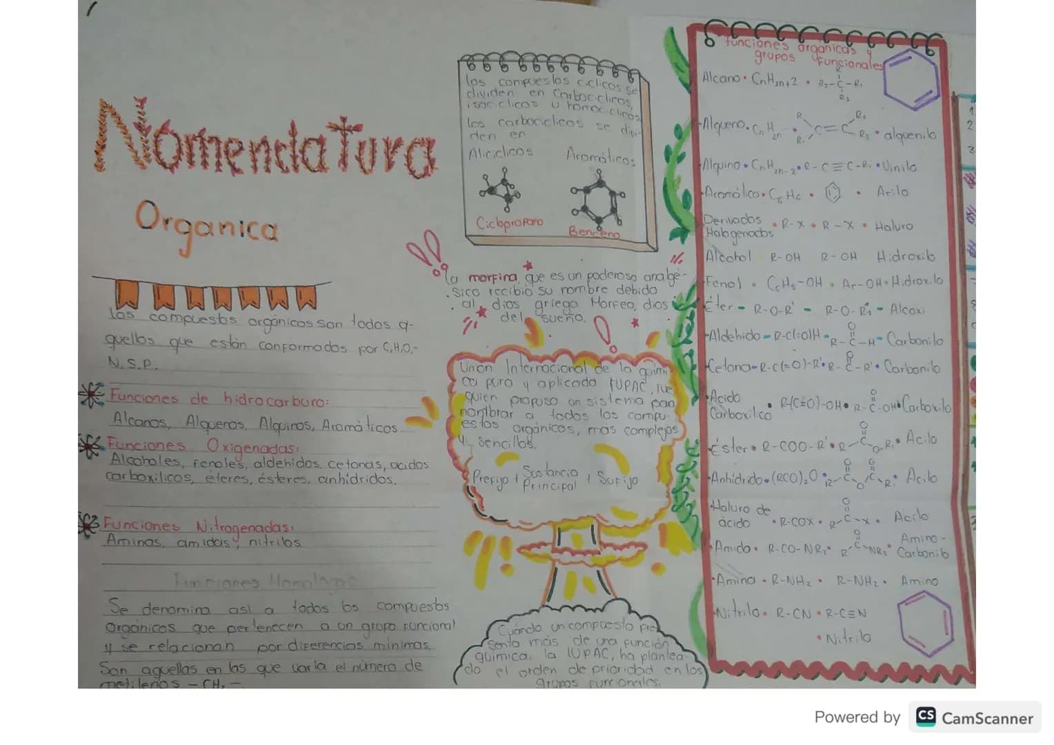# Nomendatura
Organica
WWWWWWW
Las compuestos orgánicos son todos q
quellos que están conformados por C,H,O,-
N.S.P.
Funciones de hidroca