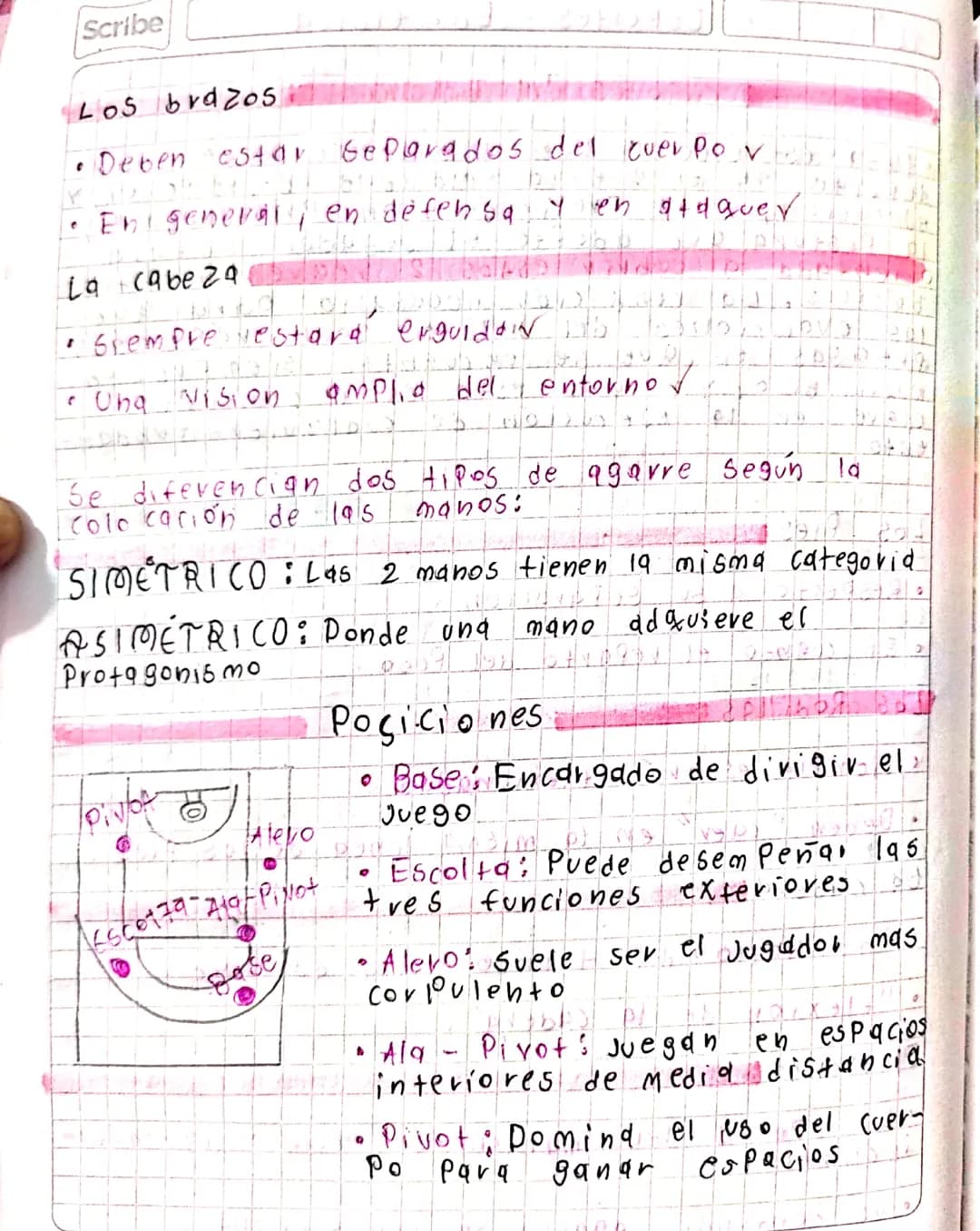 15 04
24 De Portes - Ed. fisica Scribe
Posiciones del baloncesto send col
• Esta establecido que el baloncesto es un
de porte en el que id