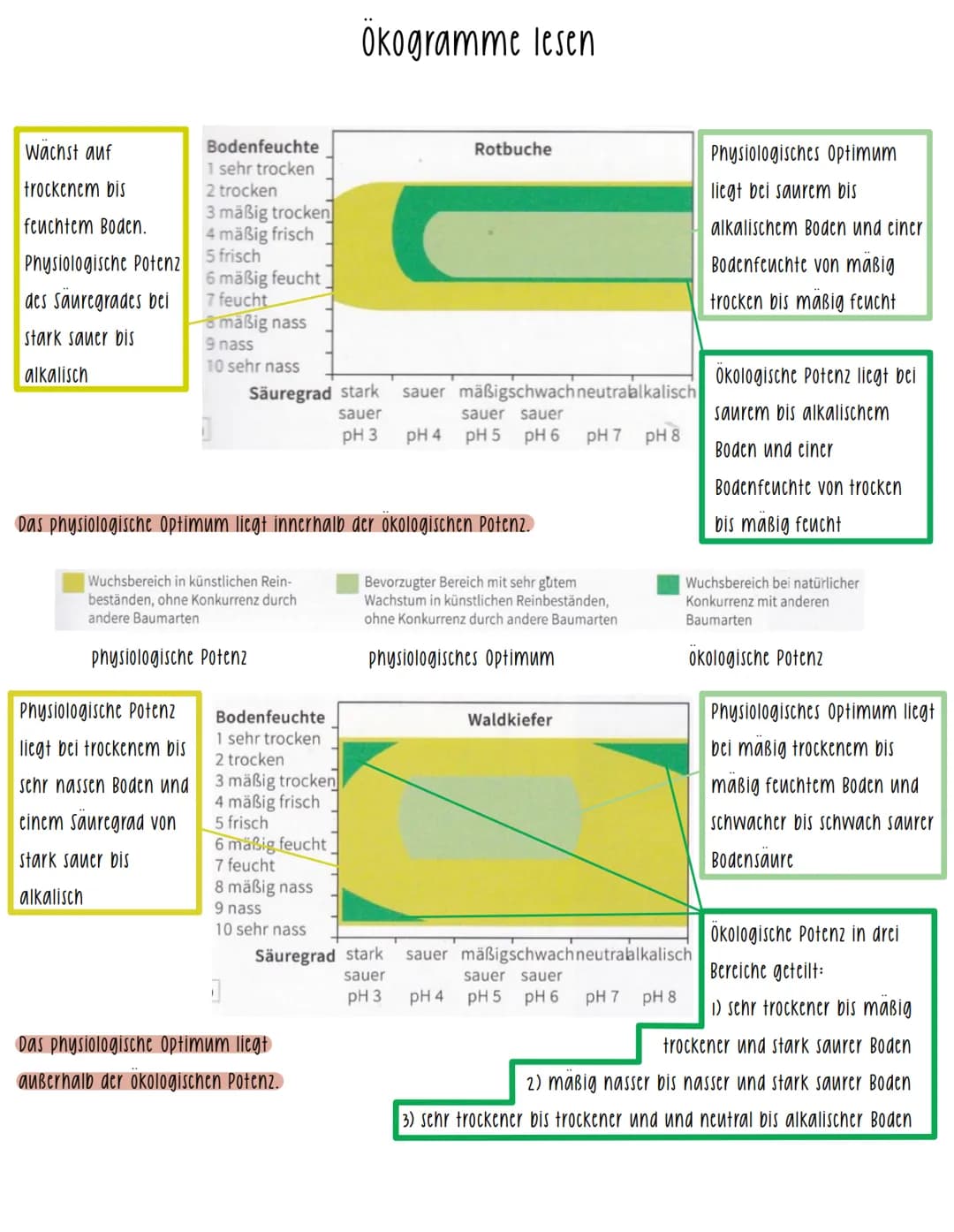# Ökogramme lesen
Wachst auf
trockenem bis
feuchtem Boden.
Physiologische Potenz
des sauregrades bei
stark sauer bis
alkalisch
Bodenfeuch