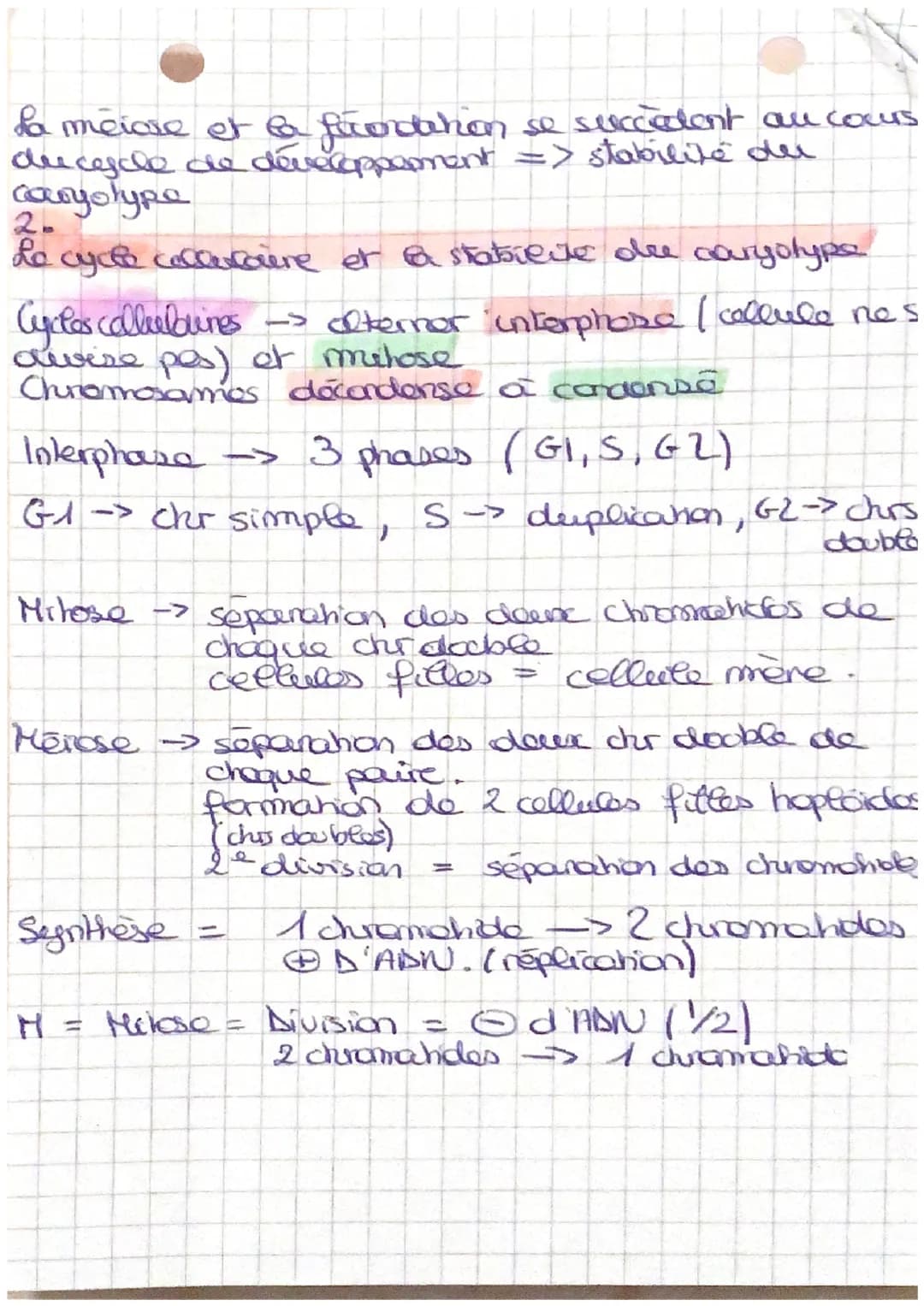 # LE CYCLE CECLUCAIRE
1. Stabreire caryotype au cours des cycles de dop
Cellule somatique non sexualle
On observe que
C samchique =>
:-