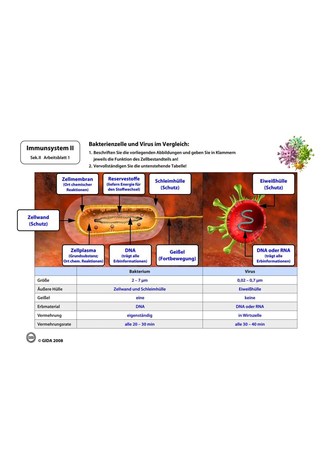 Immunsystem II
Sek.II Arbeitsblatt 1
Bakterienzelle und Virus im Vergleich:
1. Beschriften Sie die vorliegenden Abbildungen und geben Sie i