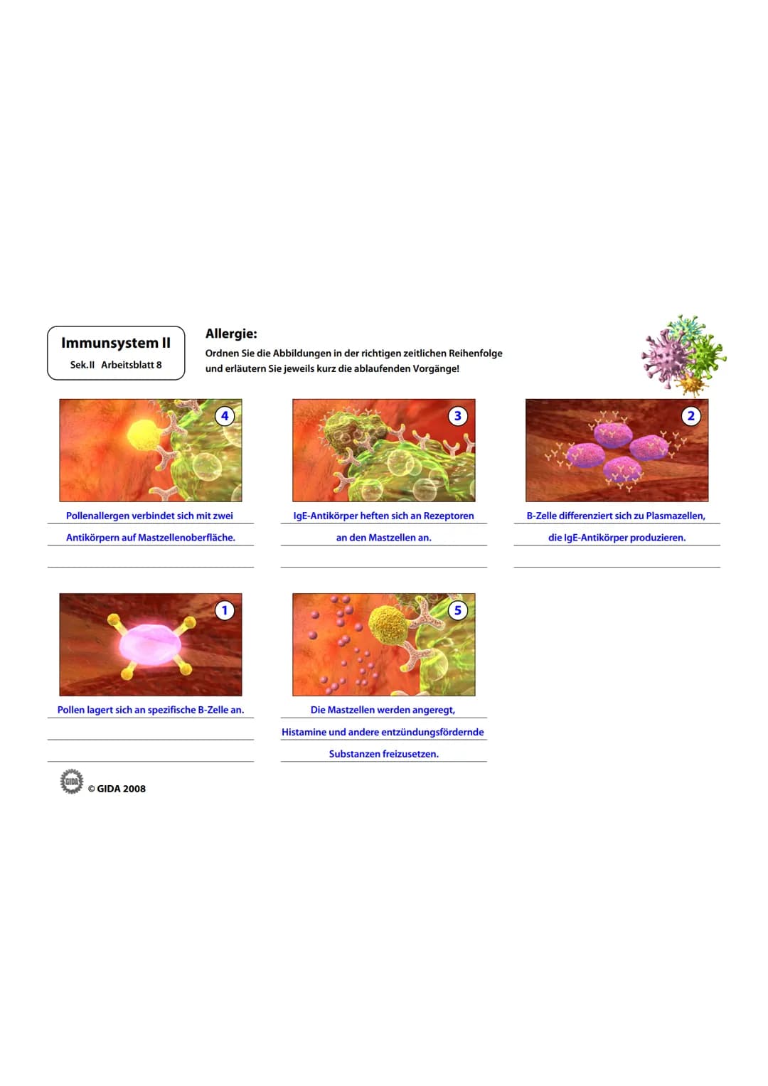 Immunsystem II
Sek.II Arbeitsblatt 1
Bakterienzelle und Virus im Vergleich:
1. Beschriften Sie die vorliegenden Abbildungen und geben Sie i