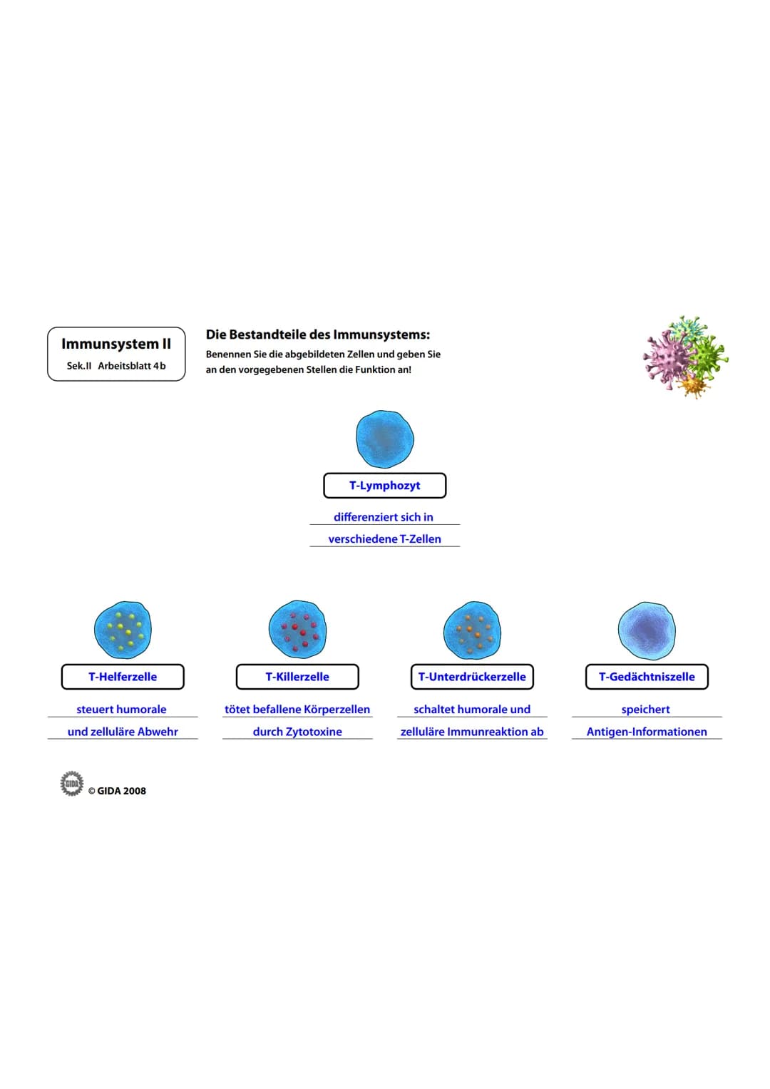 Immunsystem II
Sek.II Arbeitsblatt 1
Bakterienzelle und Virus im Vergleich:
1. Beschriften Sie die vorliegenden Abbildungen und geben Sie i