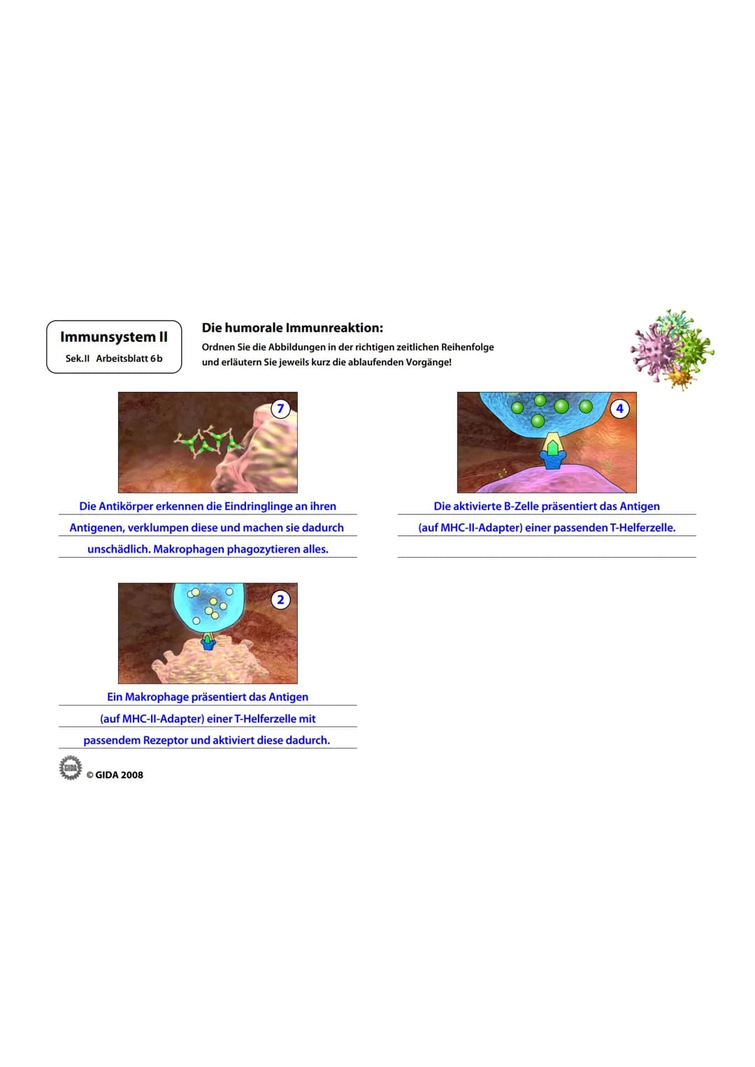 Immunsystem II
Sek.II Arbeitsblatt 1
Bakterienzelle und Virus im Vergleich:
1. Beschriften Sie die vorliegenden Abbildungen und geben Sie i