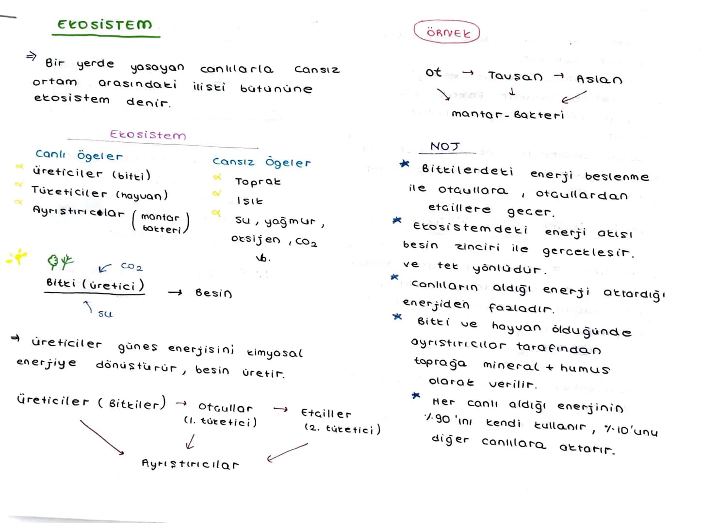 # EKOSISTEM
ÖRNEK
⇒ Bir yerde yasayan canlılarla cansız
ortam arasındaki ilisti bütunüne
ekosistem denir.
Ekosistem
Canlı ögeler
Cansız