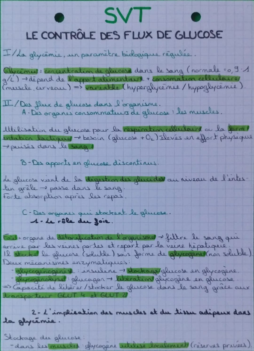 # SVT
# LE CONTRÔLE DES FLUX DE GLUCOSE
I/ La glycémie, un paramètre biologique régulée.
Glycémie = concentration de glucose dans le sang