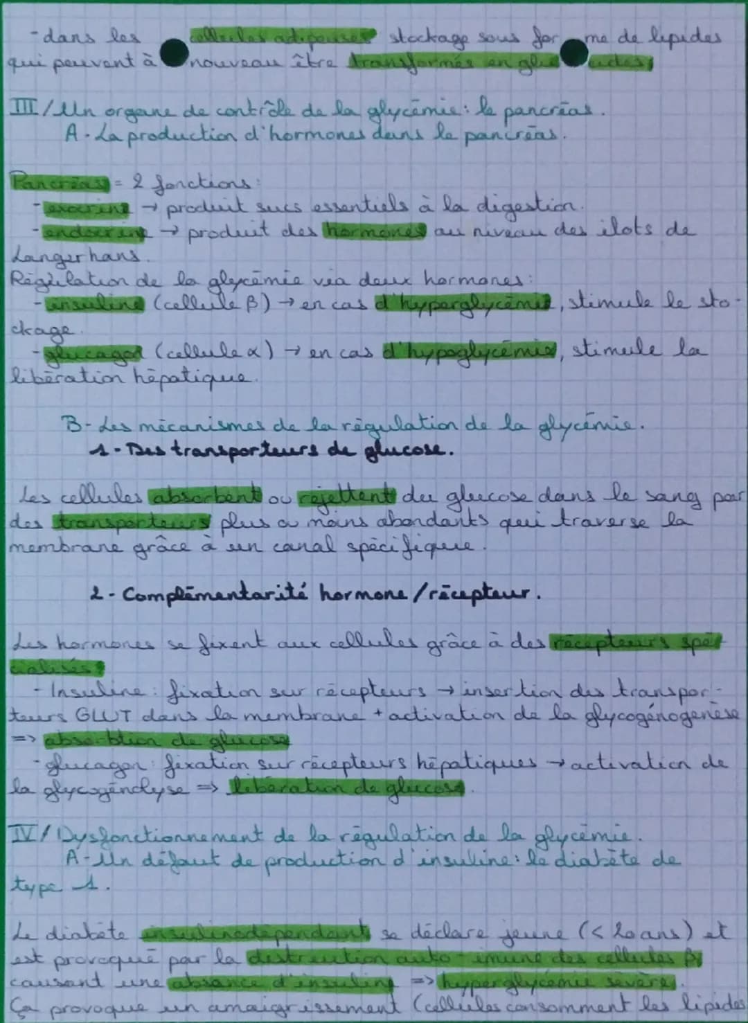 # SVT
# LE CONTRÔLE DES FLUX DE GLUCOSE
I/ La glycémie, un paramètre biologique régulée.
Glycémie = concentration de glucose dans le sang