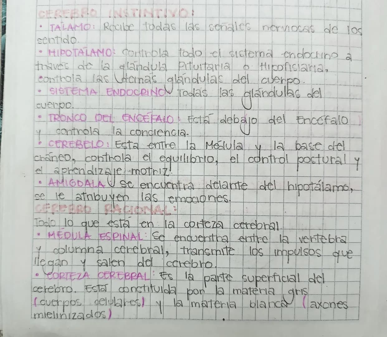 CEREBRO INSTINTIVO:
* TALAMO: Recibe todas las señales norviocas de los
sentido.
* HIPOTALAMO: controla todo el sistema endocrino a
trav