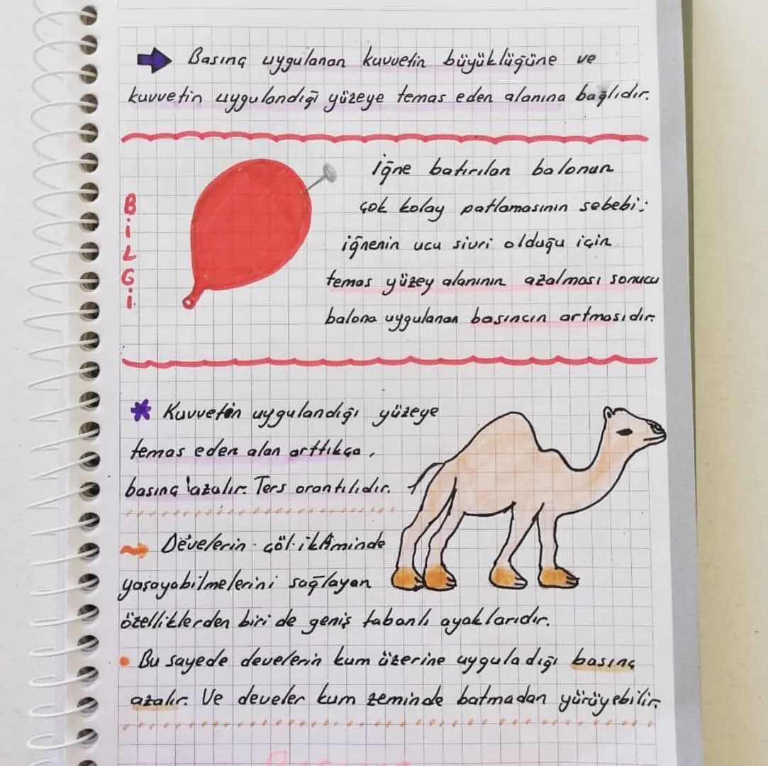 # BASING
KATI BASINCI
* Tüm cisimler ağırlıklarından dolayı Kamas
ettikleri yüzeylere bir kuvvet uygular.
* Karlı, çamurlu veya k