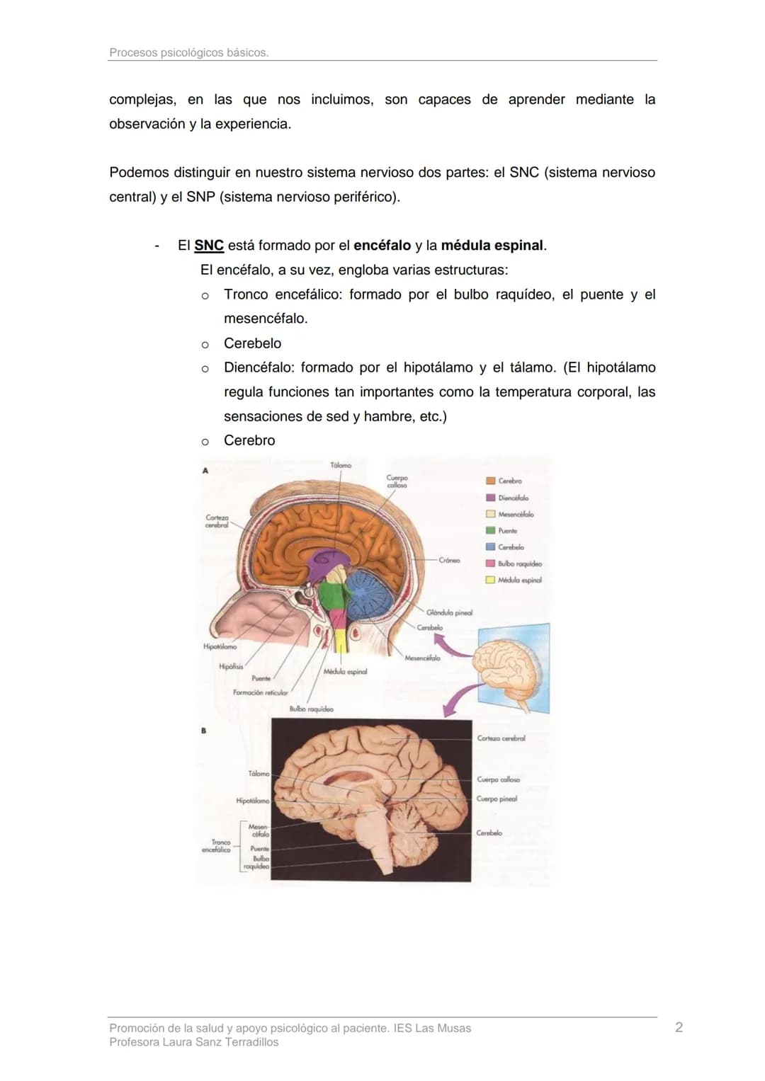 # TEMA 1: PROCESOS PSICOLÓGICOS BÁSICOS
1. Introducción
La definición de salud de la OMS nos dice que esta debe abarcar no sólo el estado