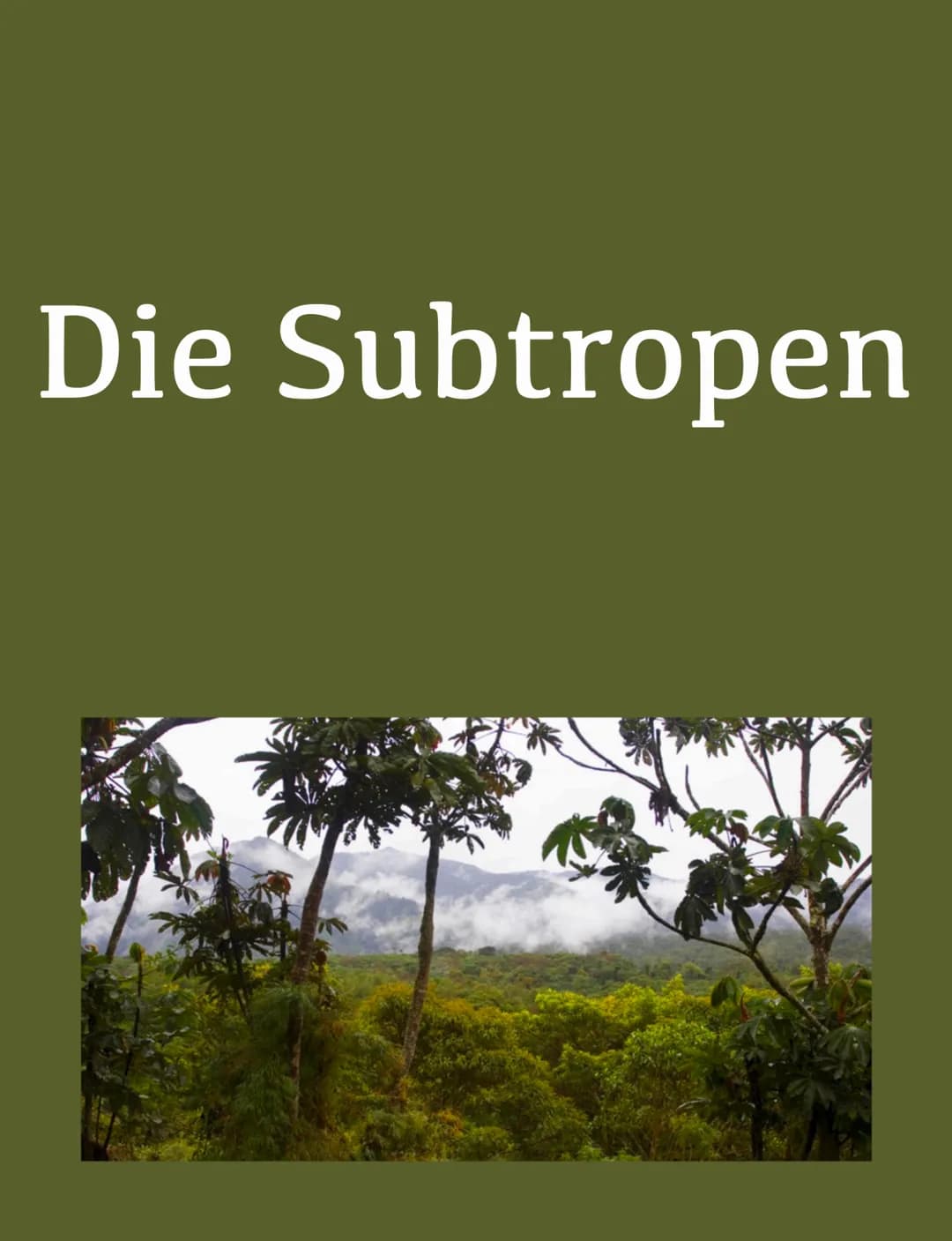 # Die Subtropen # Subtropen
Lage
* 23,5°-40° NIS Breite
Unterteilung
1) Trockene subtropen
2) Winterfeuchte Subtropen
3) Immerfeuchte
