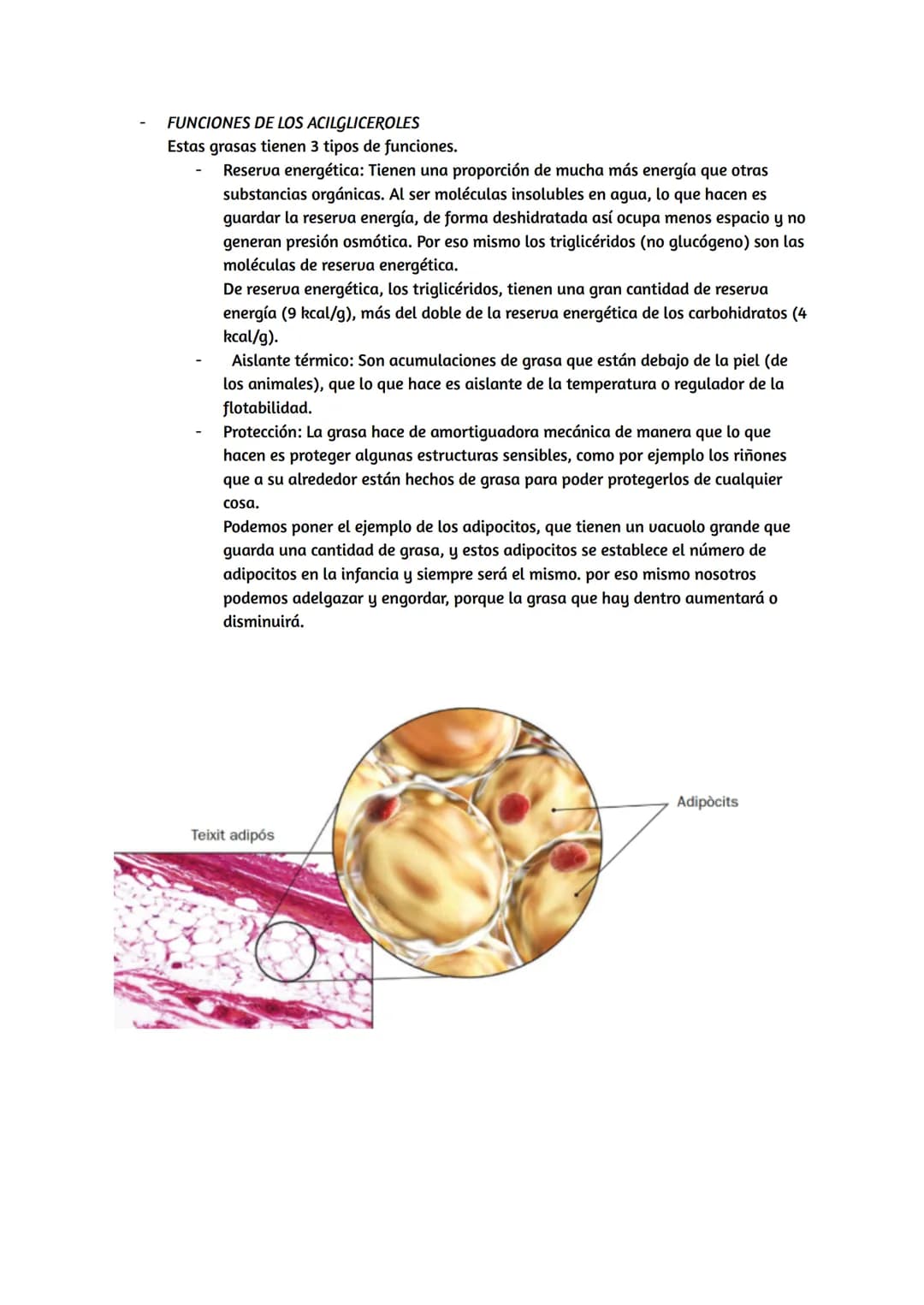 # Lípidos
## Características de los lípidos:
* Propiedades de los lípidos:
Los lípidos son biomoléculas orgánicas, que están formadas p