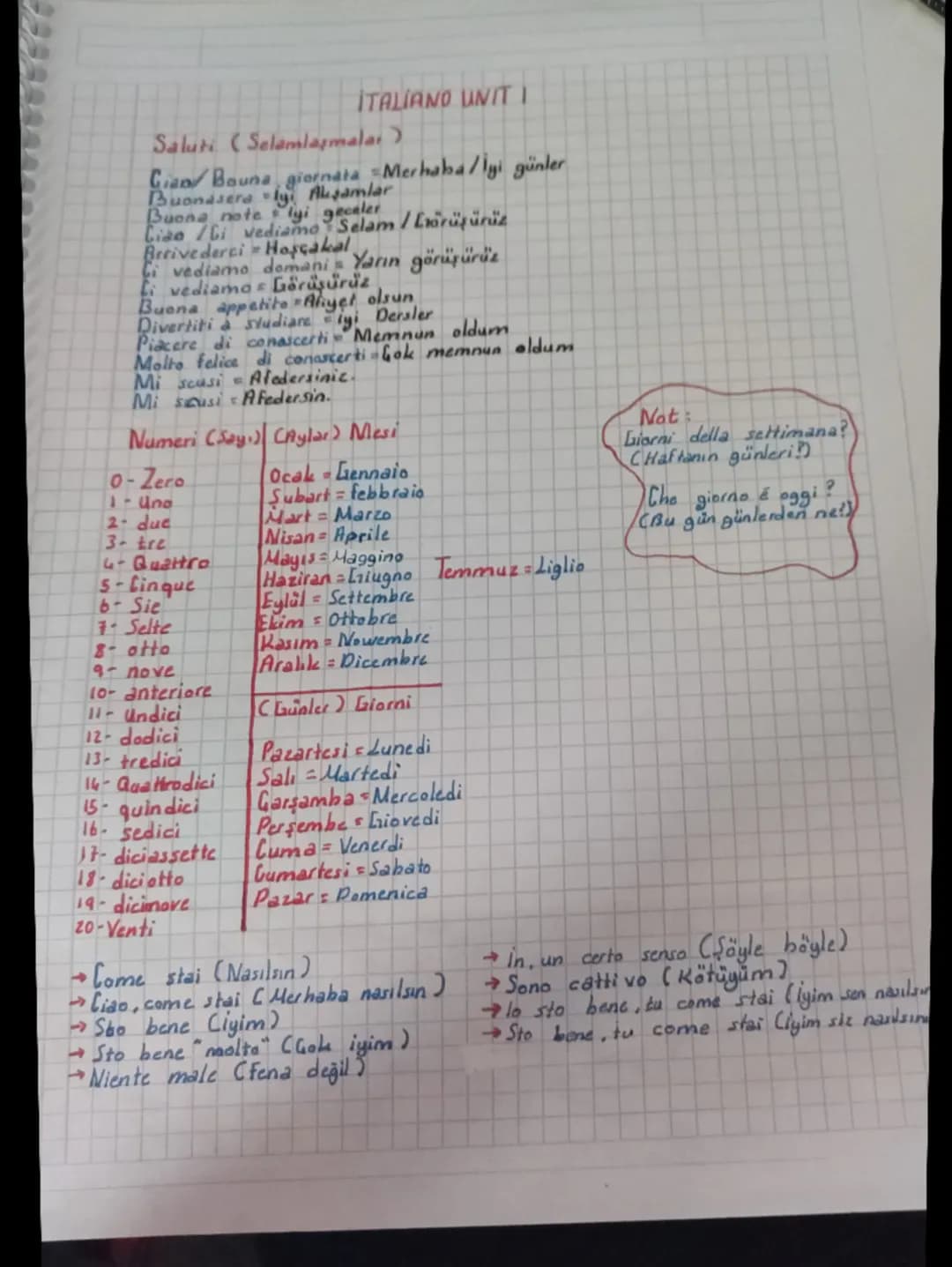 ITALIANO UNIT I
Saluti (Selamlaşmalar)
Gian Bouna giornata Merhaba/İyi günler
Buonasera İyi Akşamlar
Buona note lyi geceler
Lidobi vediamo