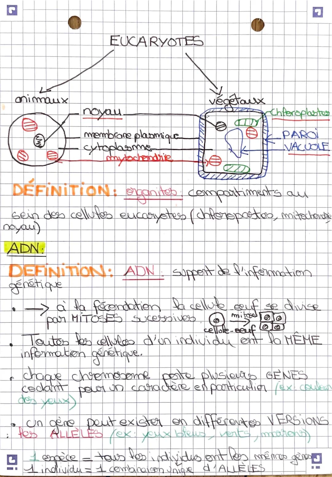 sut
# Rappels:
## Les bases:
Les atres vivants sont composés de matière
organique (carbone)
- Sucres = Glucides
- Graisses = Lipides
- Muscl