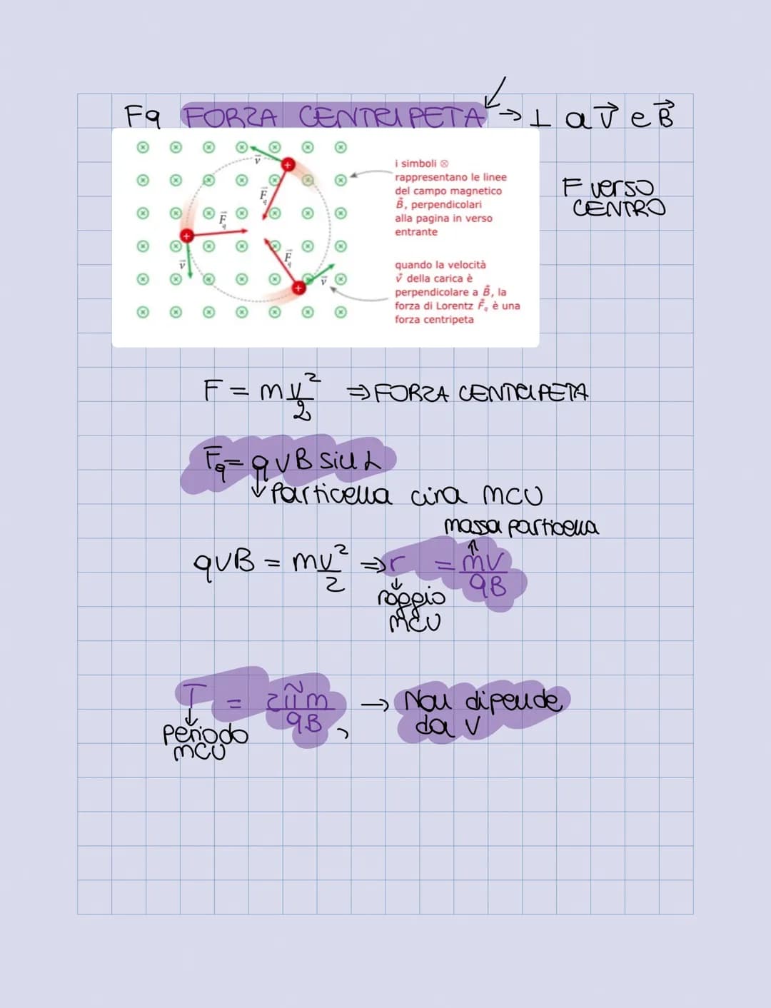 Magneti e Campo Magnetico:
MAGNETITE = MINERALE del FERRO
CALAMITA
LALAM
POLO
NORD
N
POO
SUD
S
= CITTA di MAGNESIA (UBIA)
= SCOPERTA da TAUE