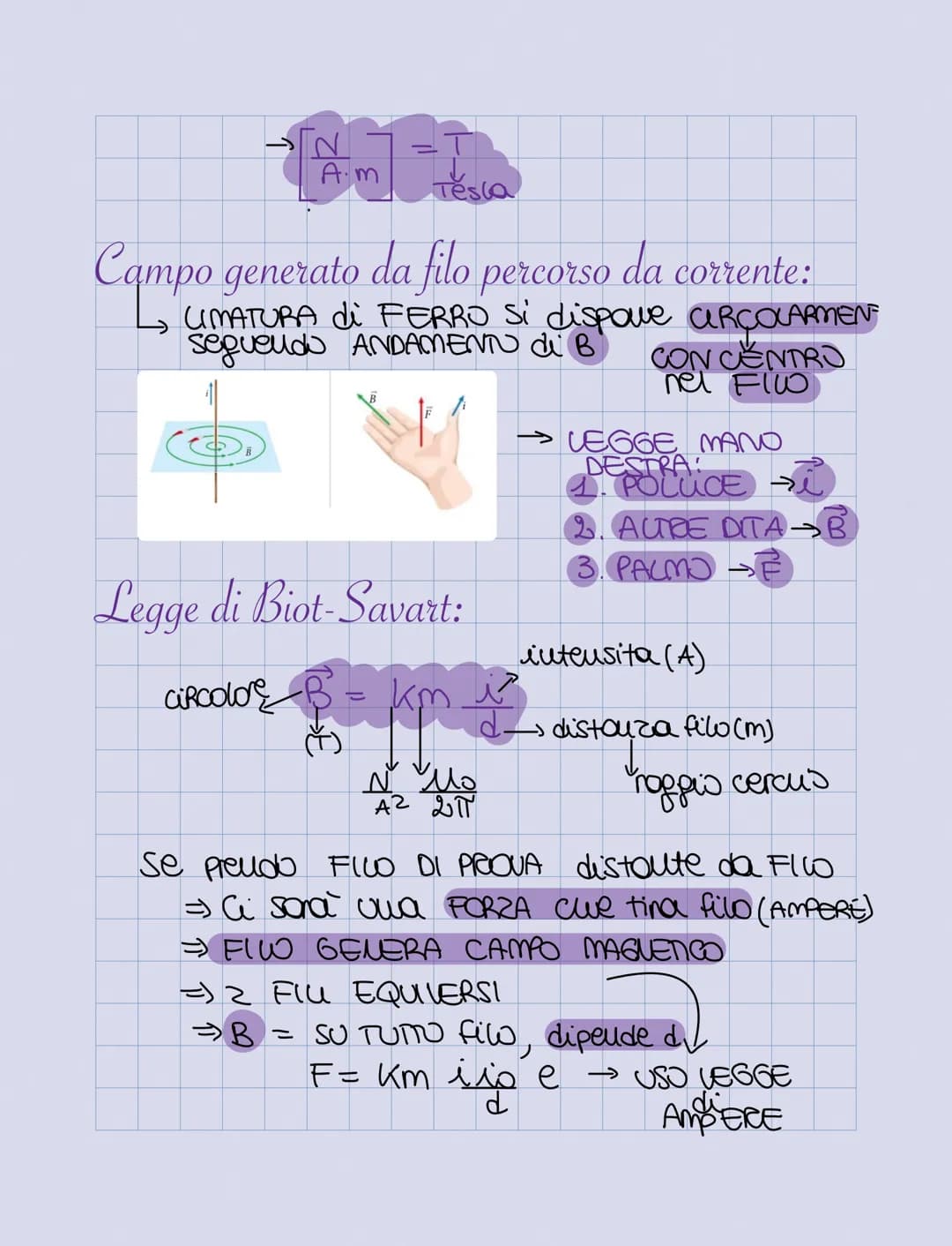 Magneti e Campo Magnetico:
MAGNETITE = MINERALE del FERRO
CALAMITA
LALAM
POLO
NORD
N
POO
SUD
S
= CITTA di MAGNESIA (UBIA)
= SCOPERTA da TAUE