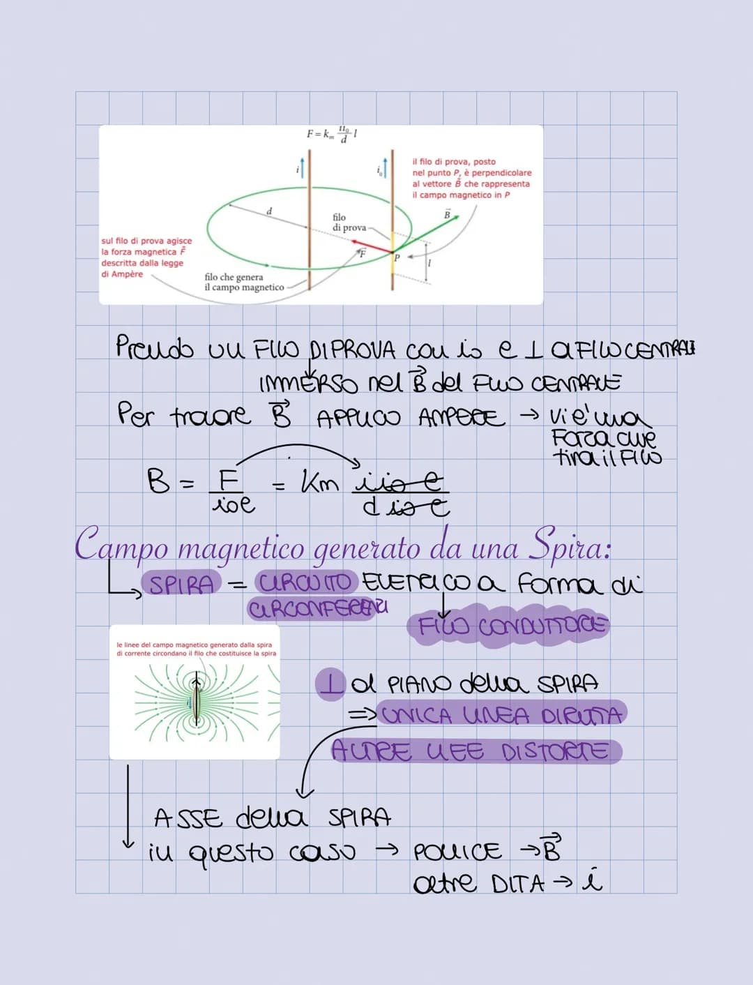 Magneti e Campo Magnetico:
MAGNETITE = MINERALE del FERRO
CALAMITA
LALAM
POLO
NORD
N
POO
SUD
S
= CITTA di MAGNESIA (UBIA)
= SCOPERTA da TAUE